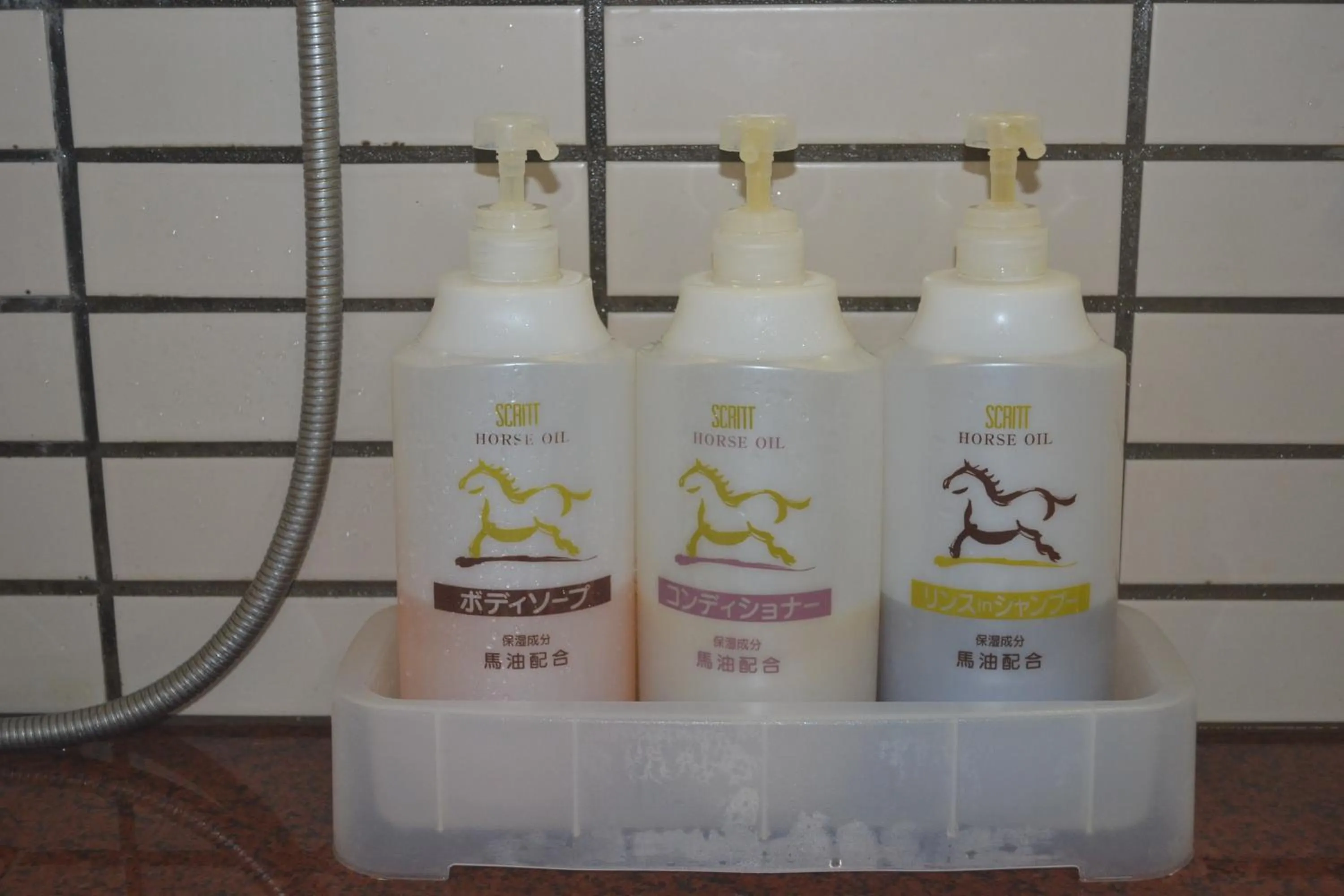 Hot Spring Bath in Hotel Green Hill Kagoshima