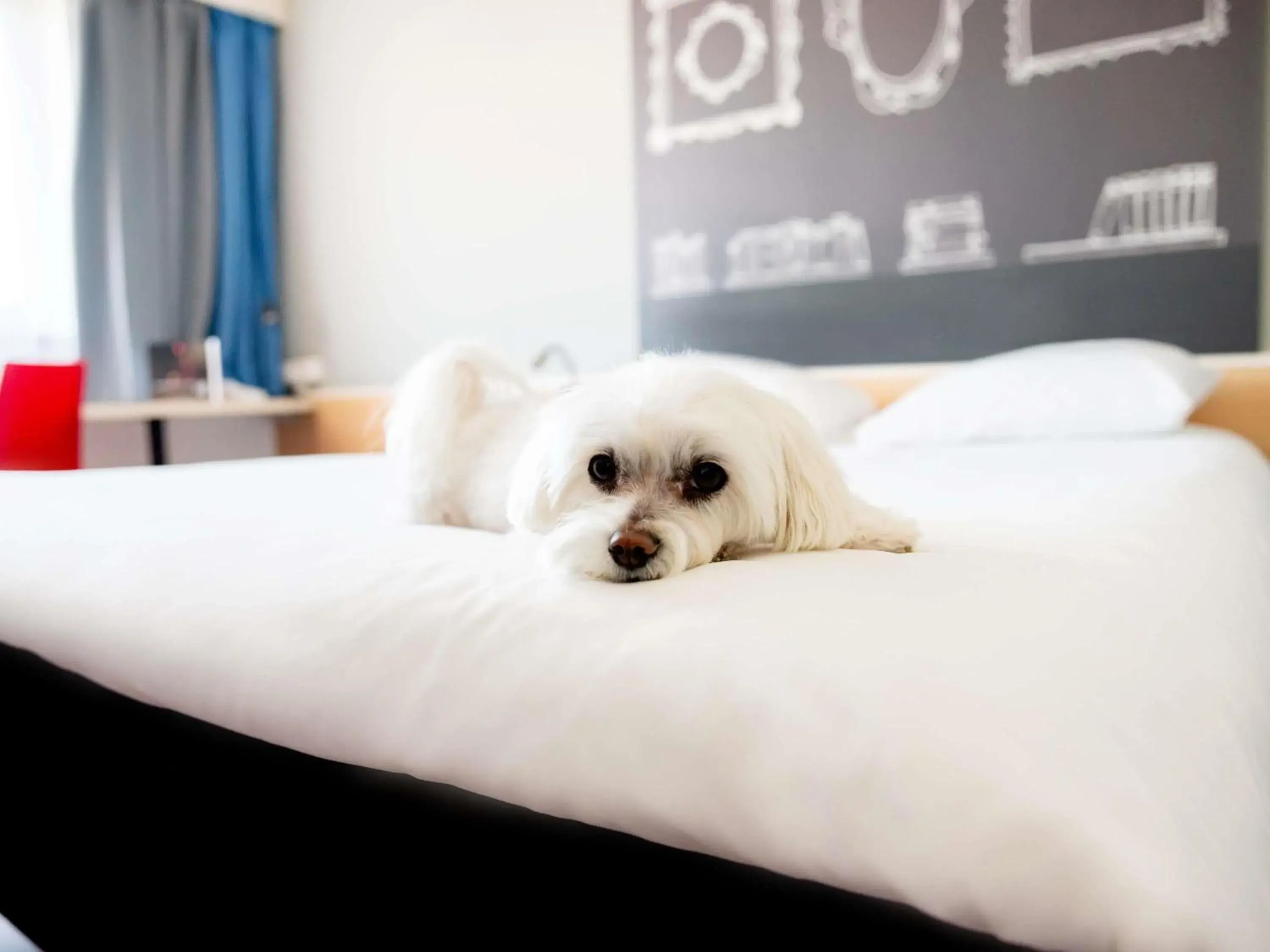 Bedroom, Bed in Ibis Poznan Stare Miasto Bedroom, Bed in Ibis Poznan Stare Miasto