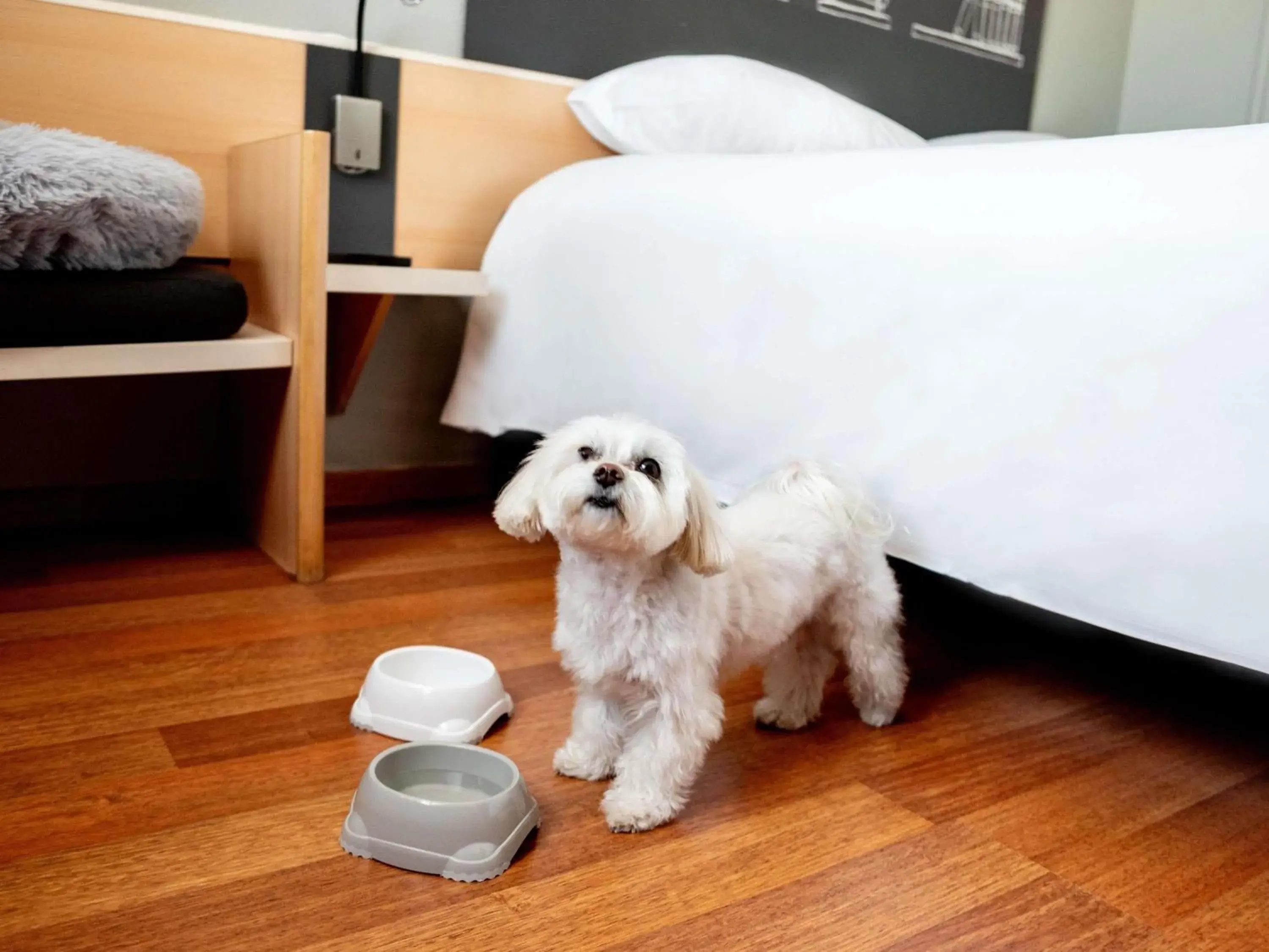 Bedroom in Ibis Poznan Stare Miasto Bedroom in Ibis Poznan Stare Miasto