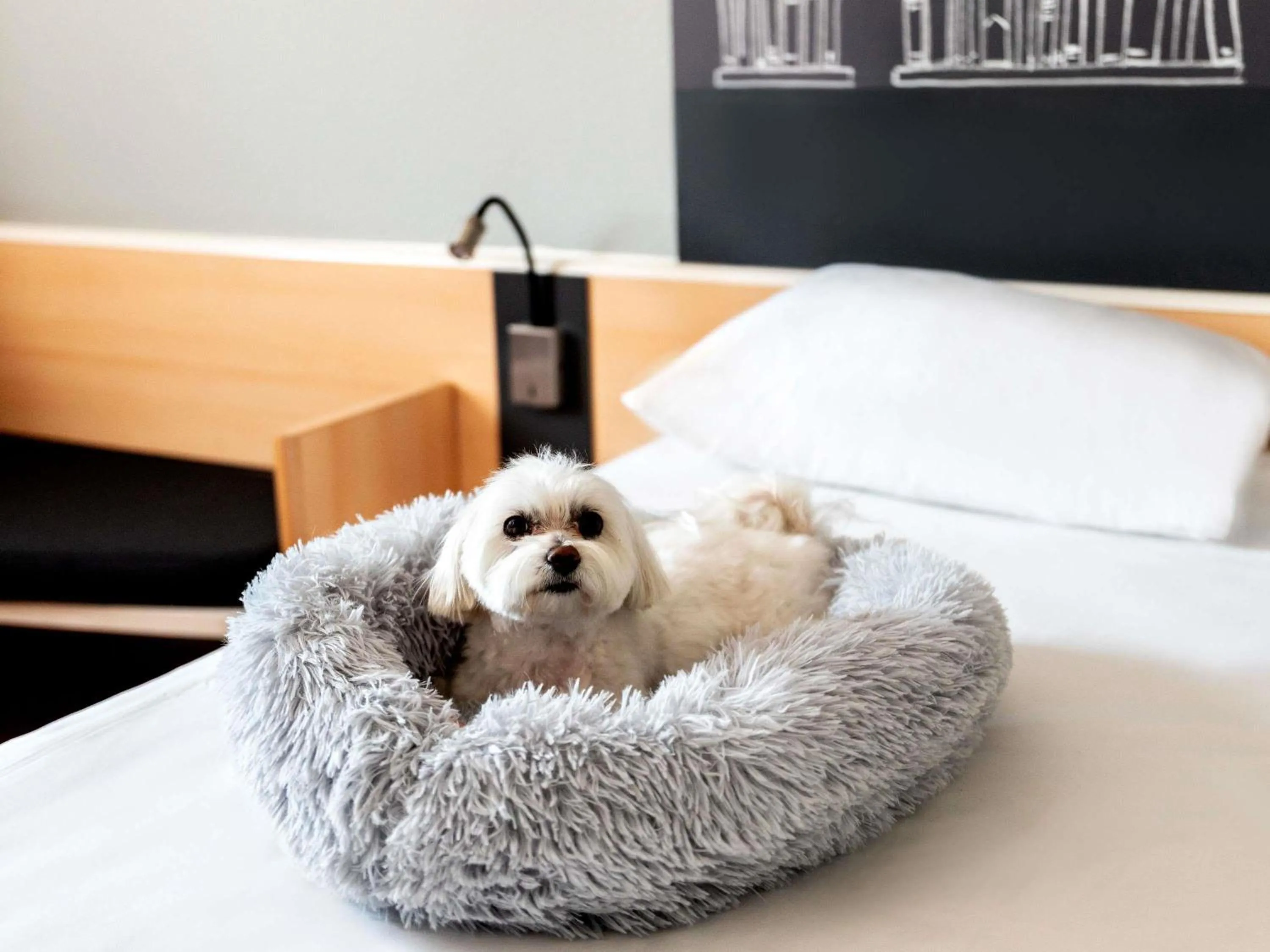 Property building, Bed in Ibis Poznan Stare Miasto