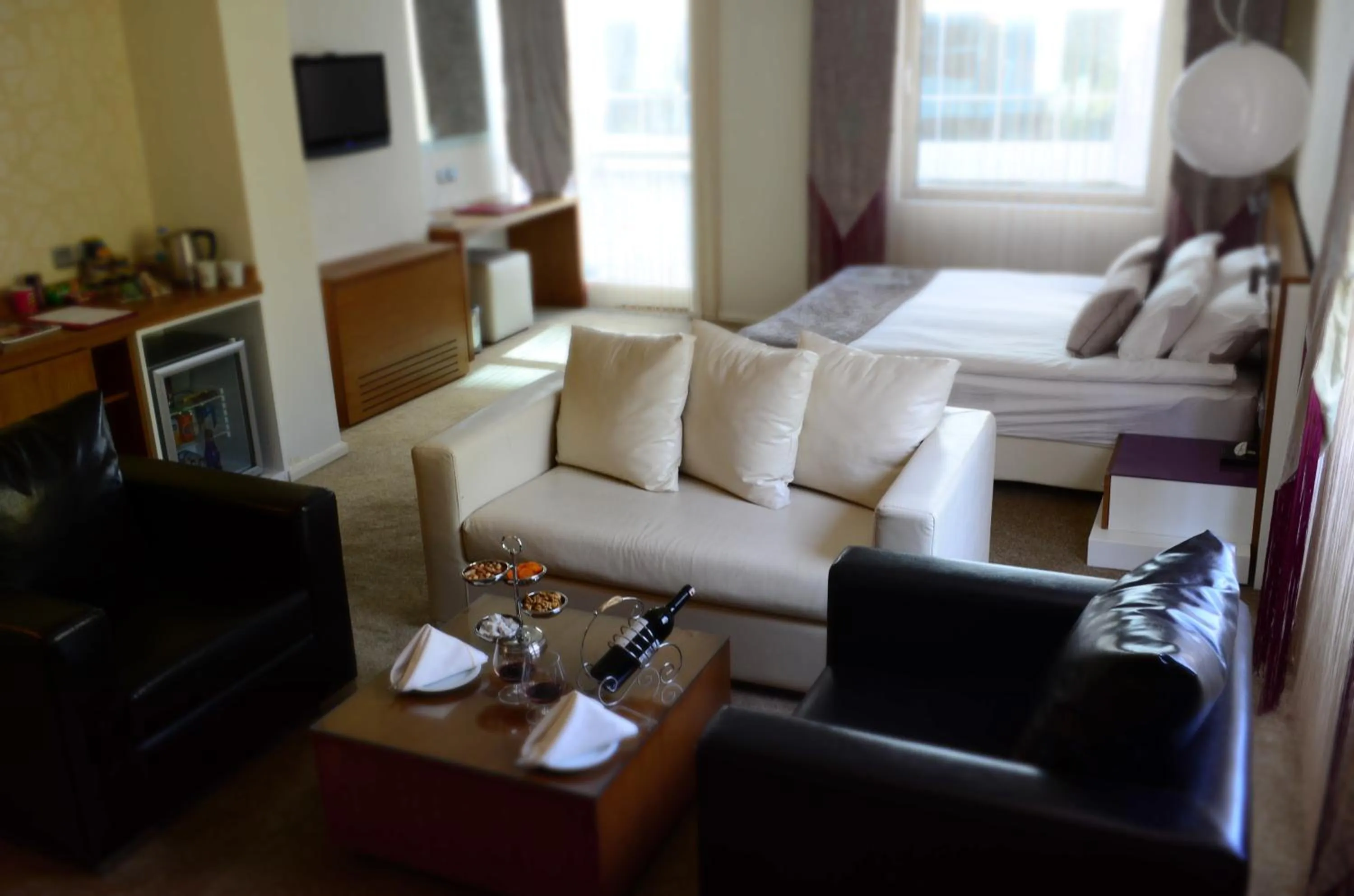 Photo of the whole room in City Hotel Ankara