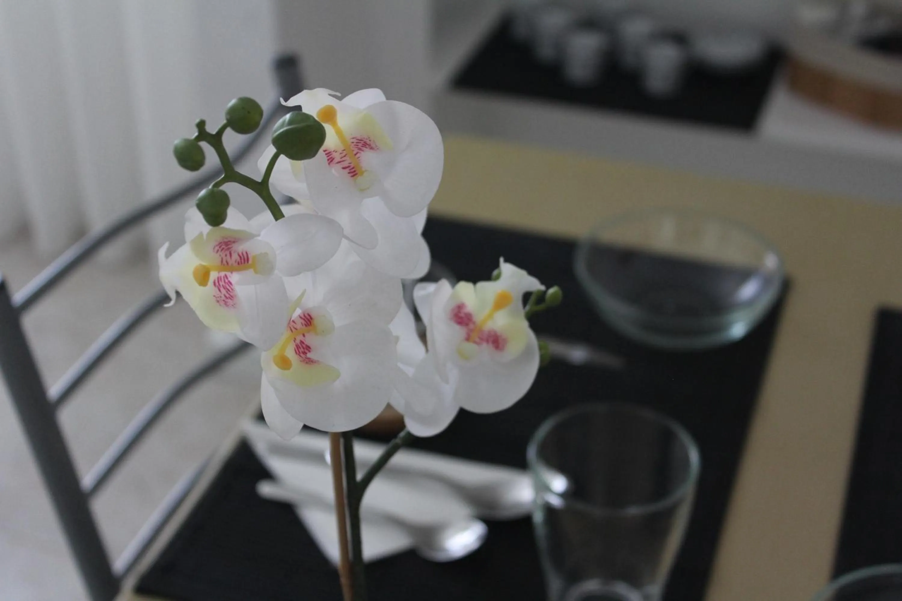 Other in Nine Senses