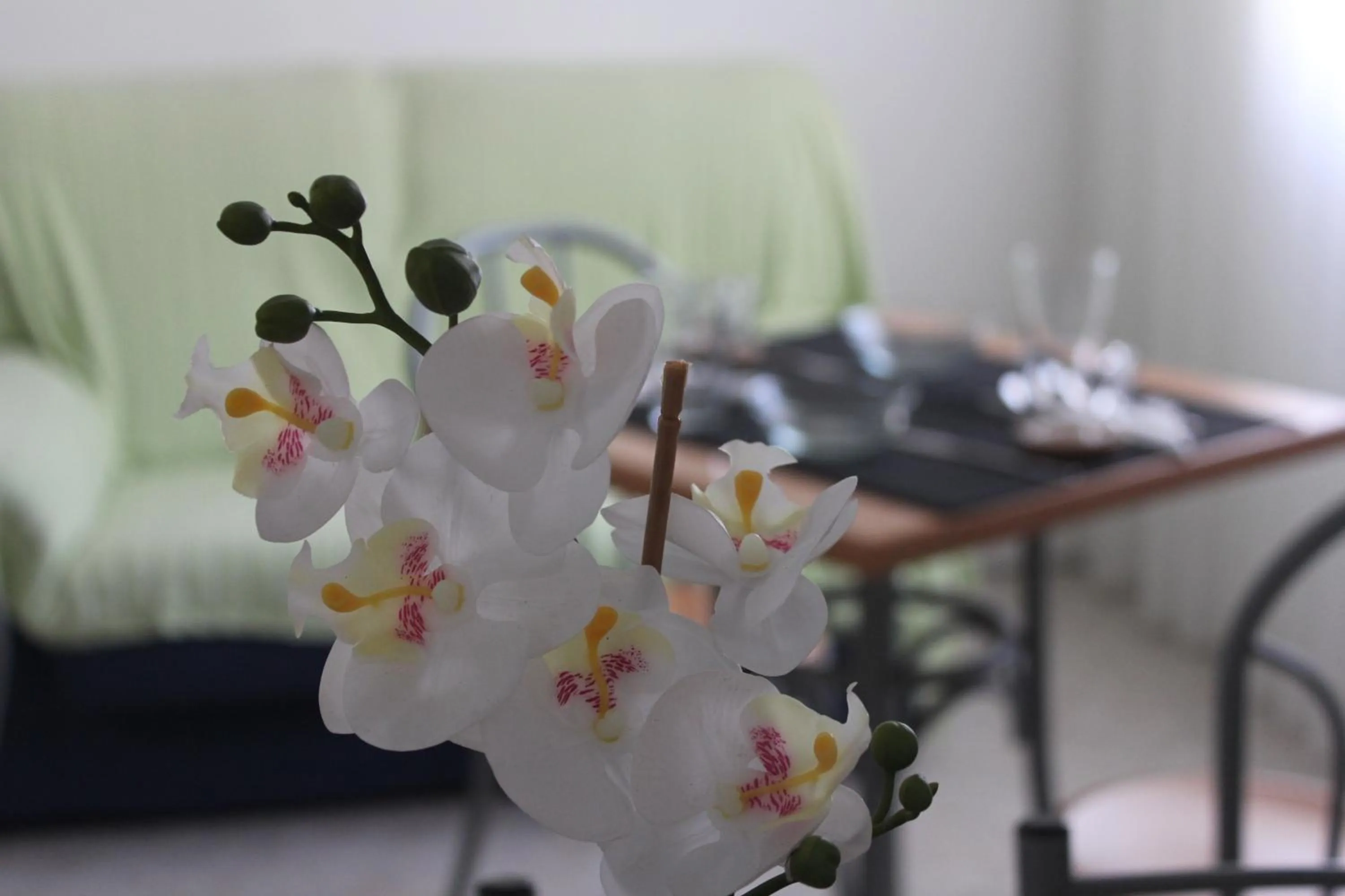 Other, Bed in Nine Senses