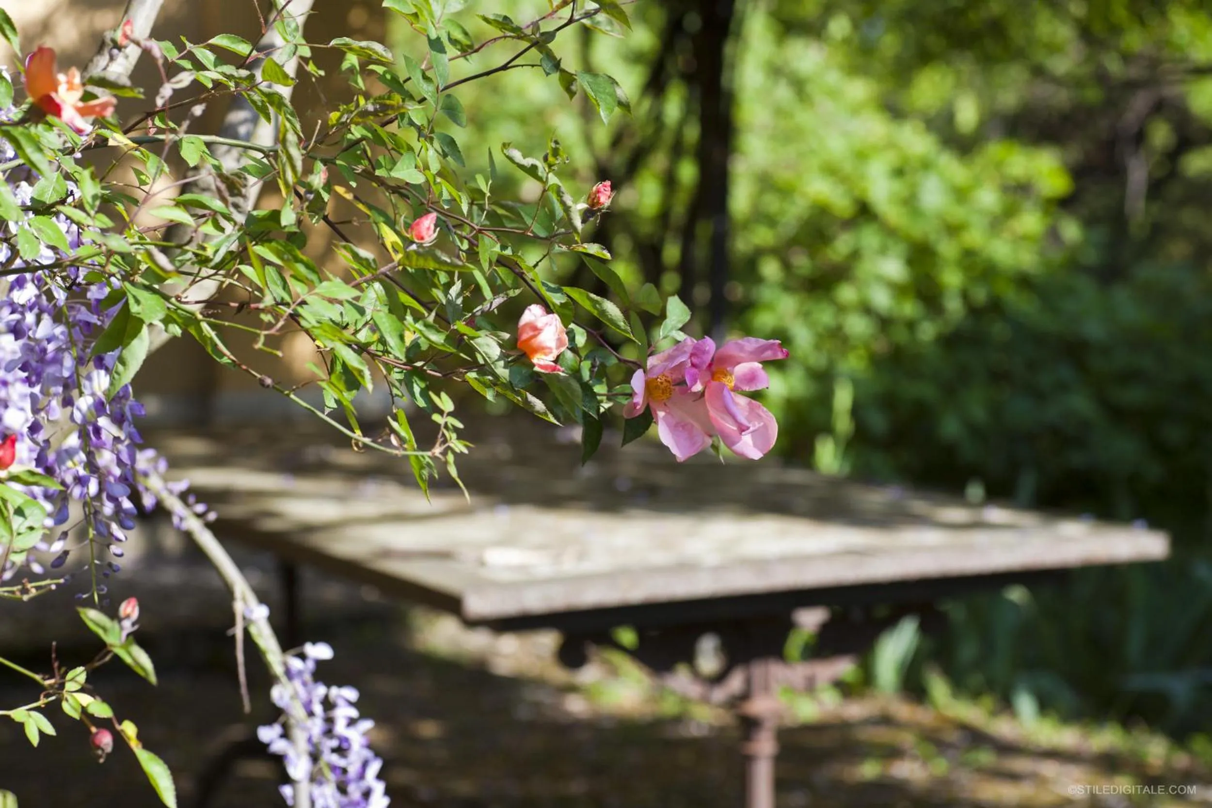 Natural landscape in Pragatto Hills by Casino di Pragatto