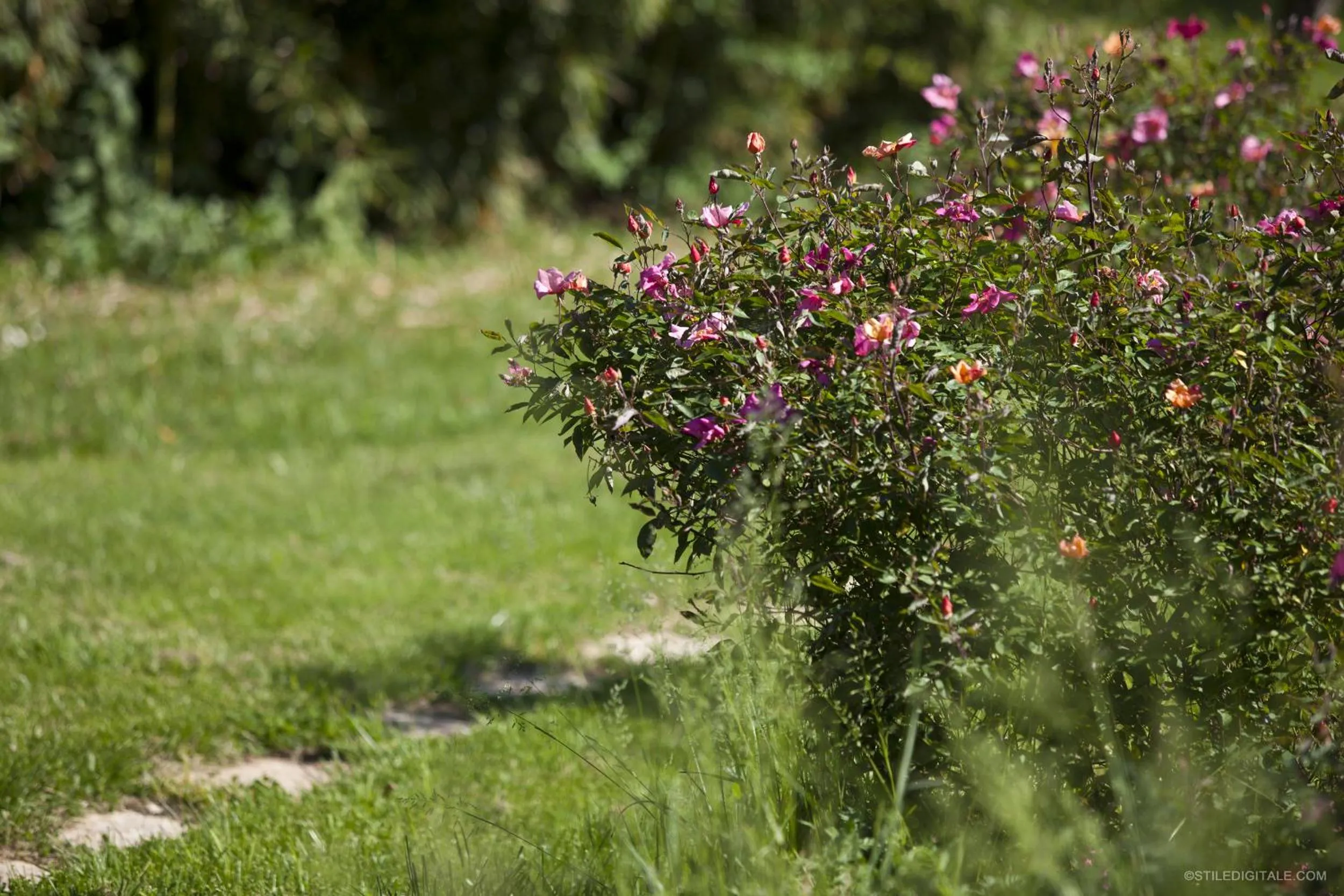 Other in Pragatto Hills by Casino di Pragatto