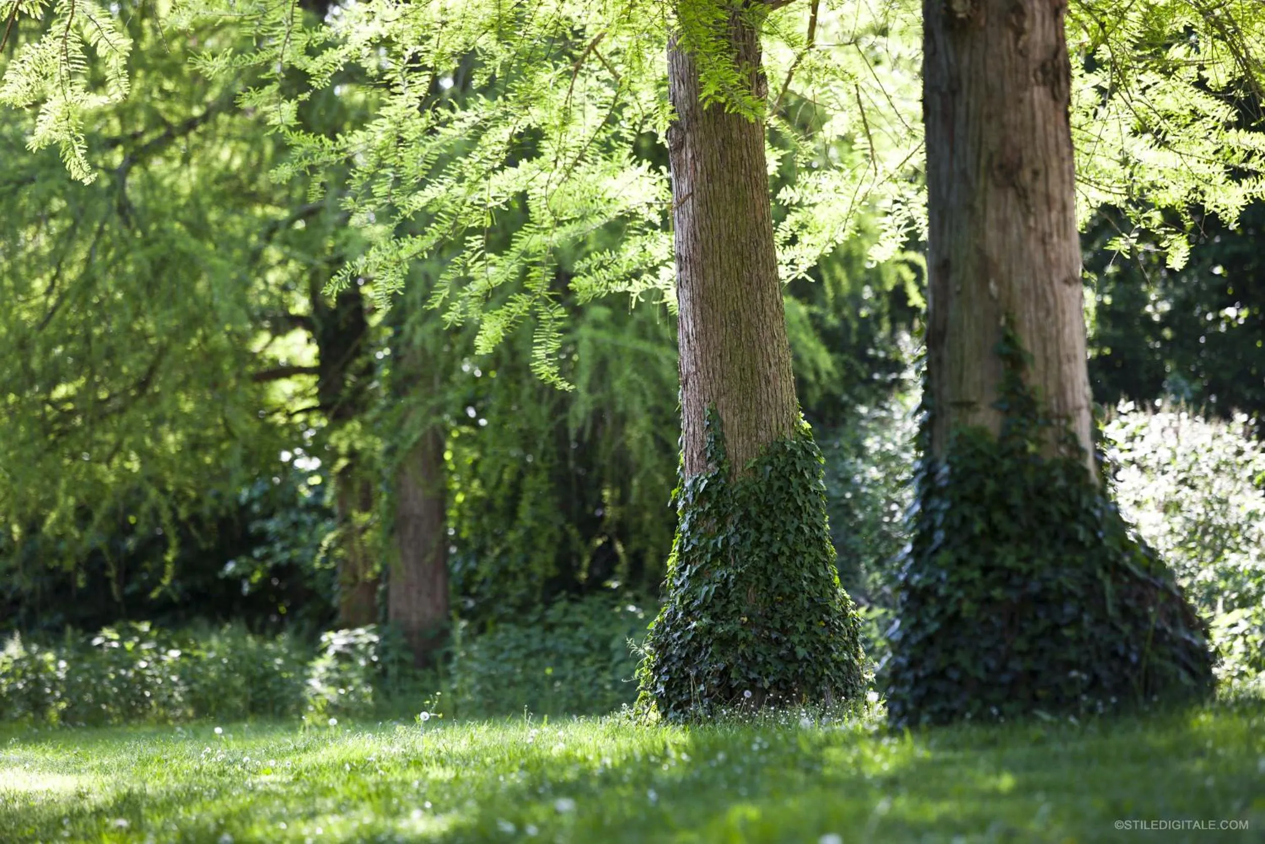 Garden view in Pragatto Hills by Casino di Pragatto