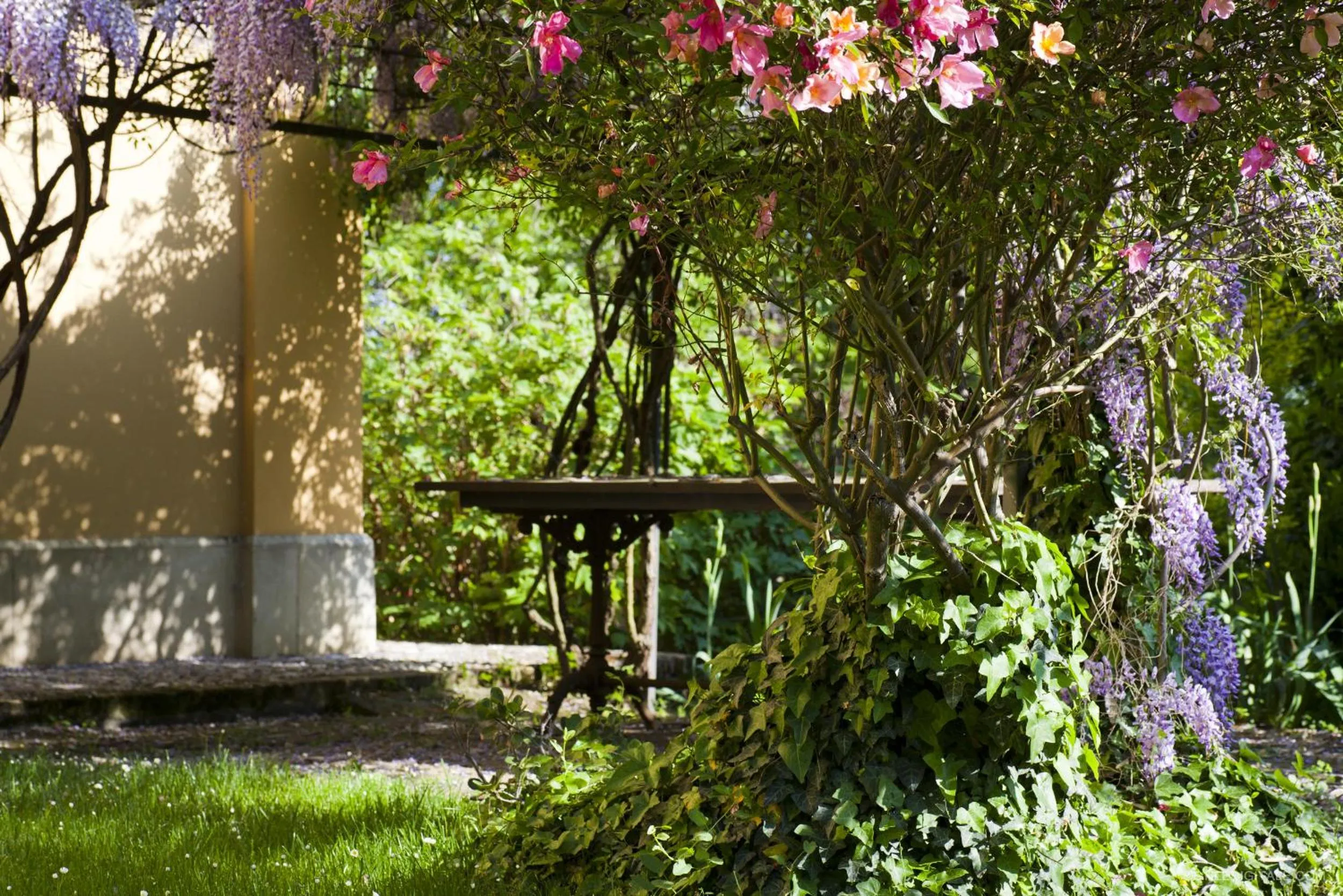 Garden view in Pragatto Hills by Casino di Pragatto