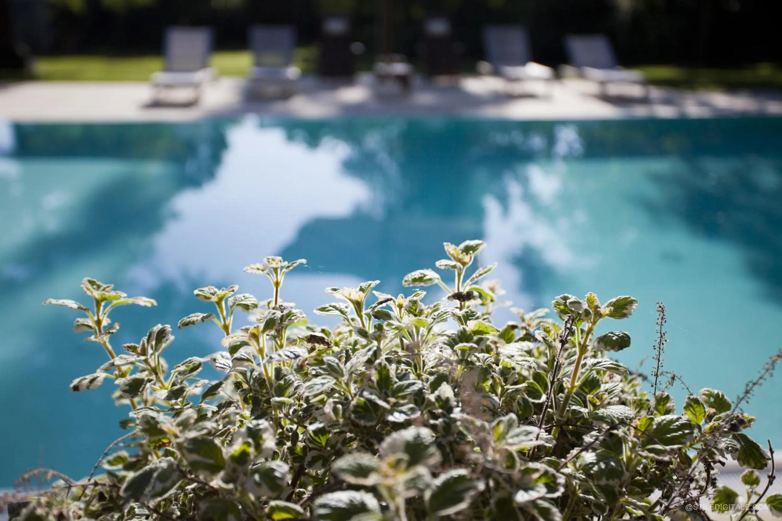 Swimming pool in Pragatto Hills by Casino di Pragatto