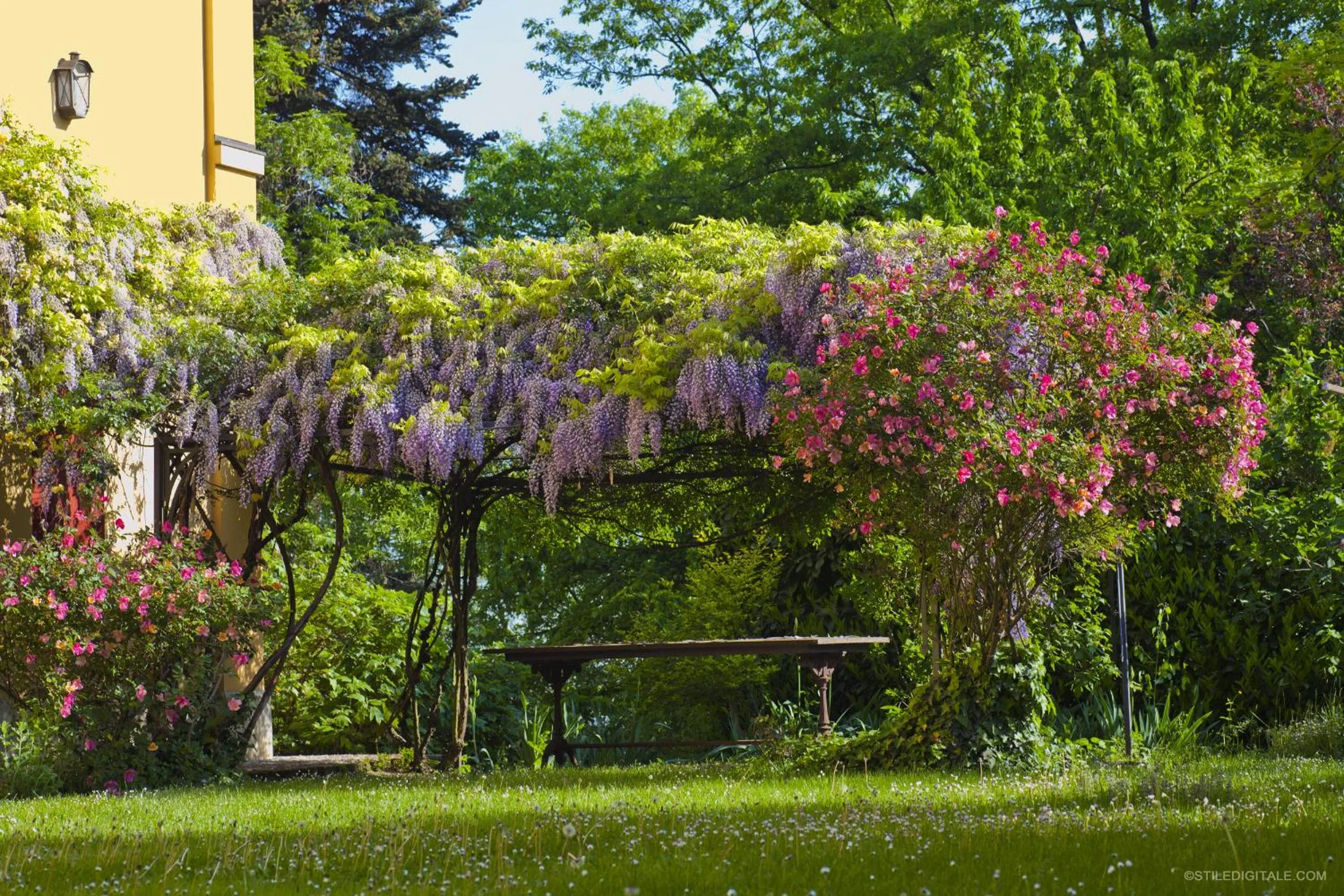 Natural landscape in Pragatto Hills by Casino di Pragatto