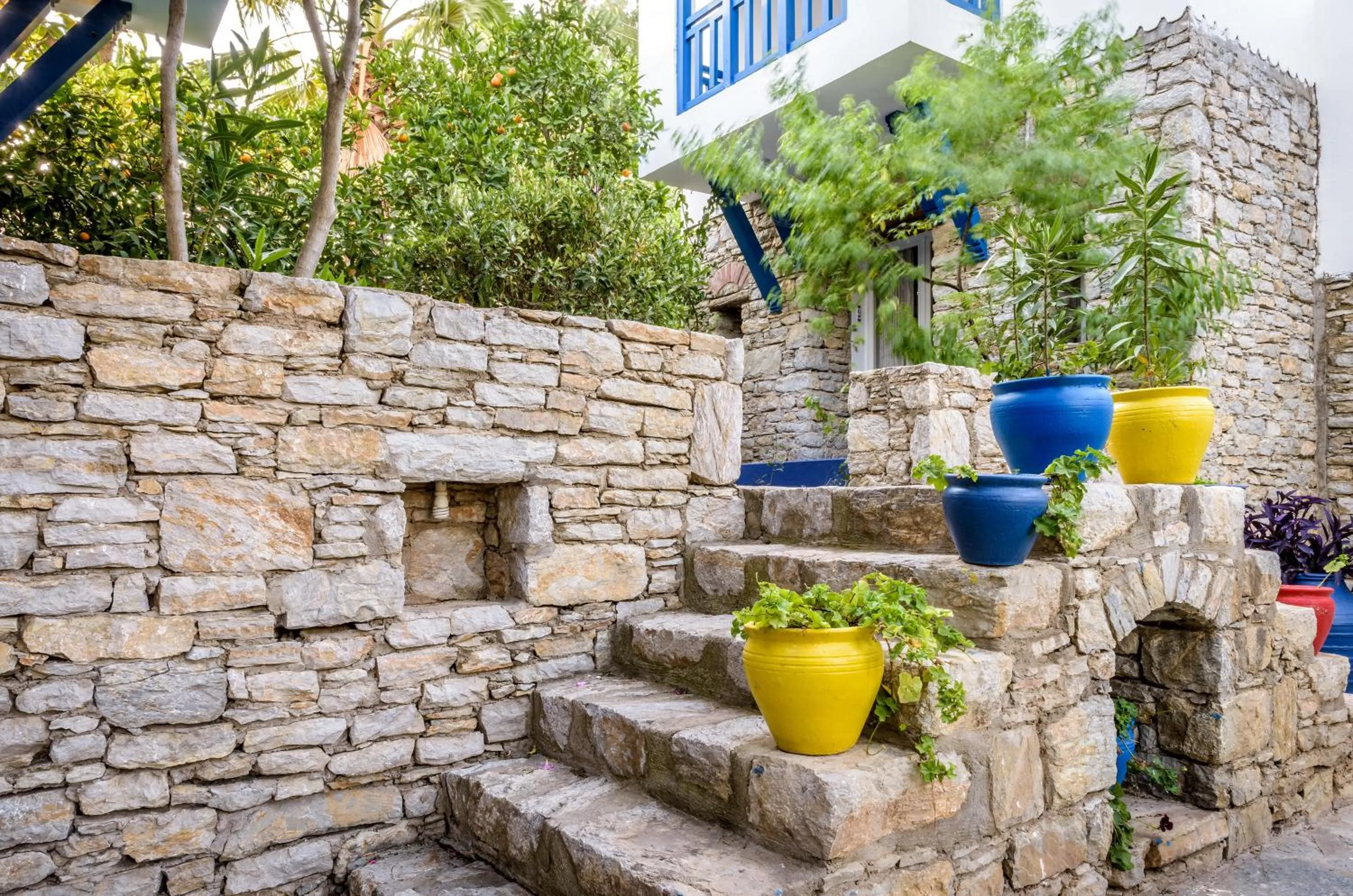 Garden in Marphe Hotel