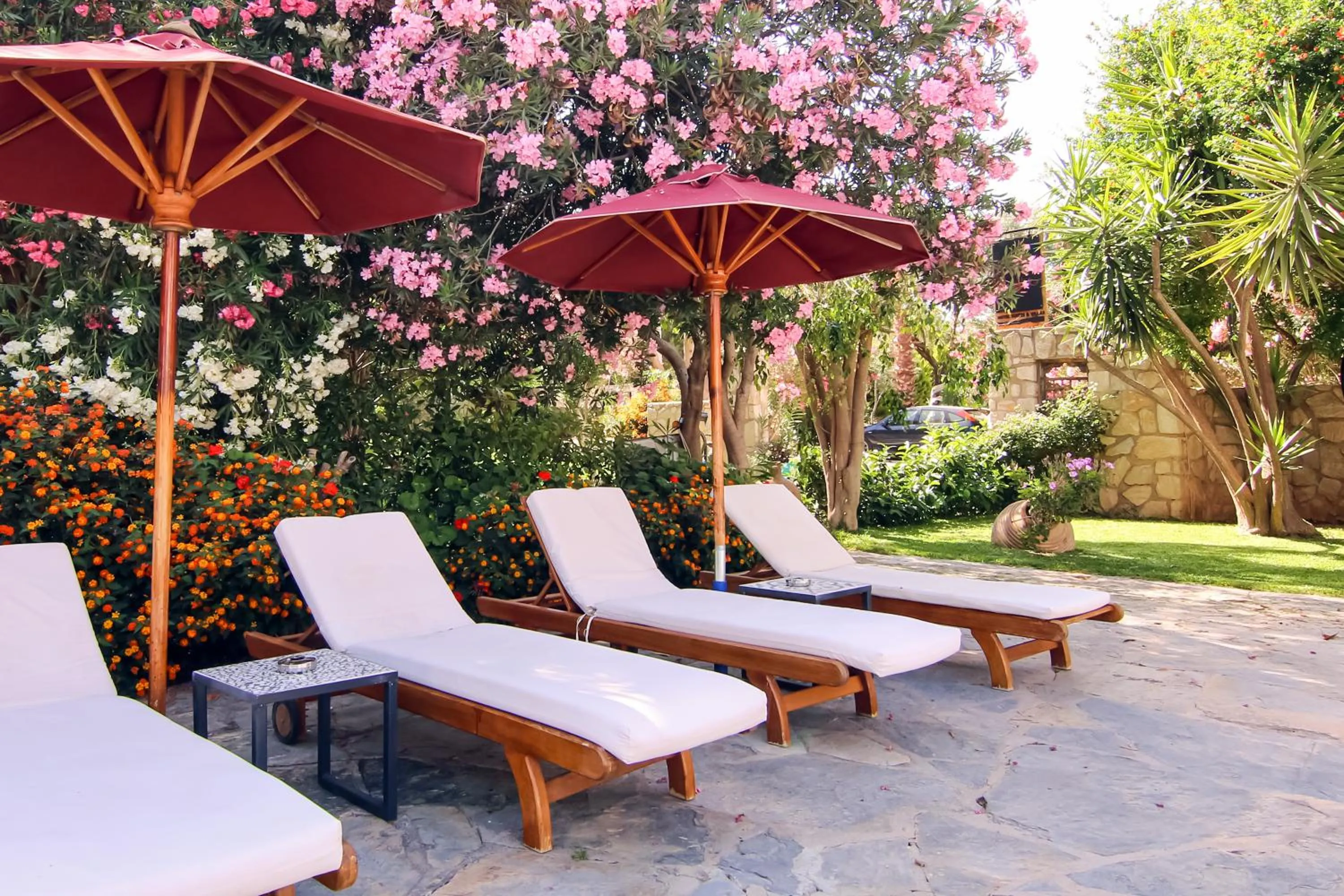 Garden in Marphe Hotel