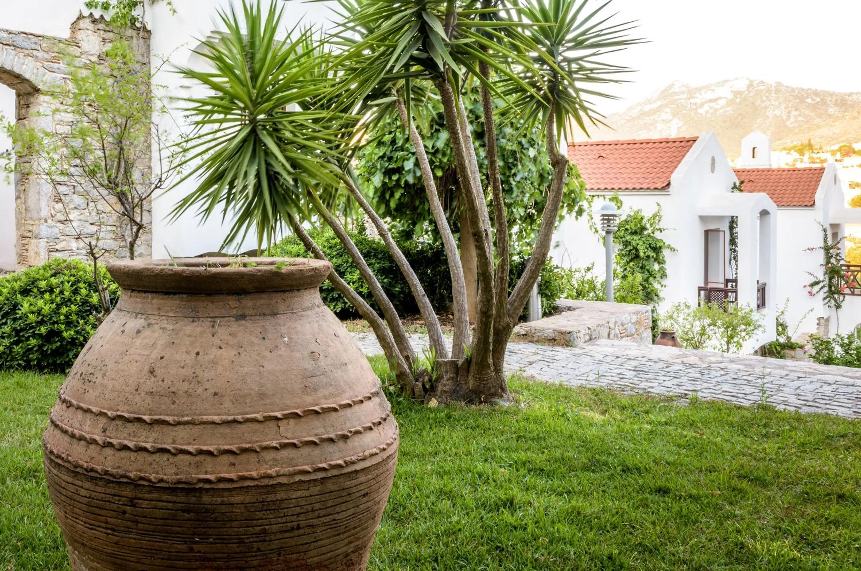 Garden in Marphe Hotel
