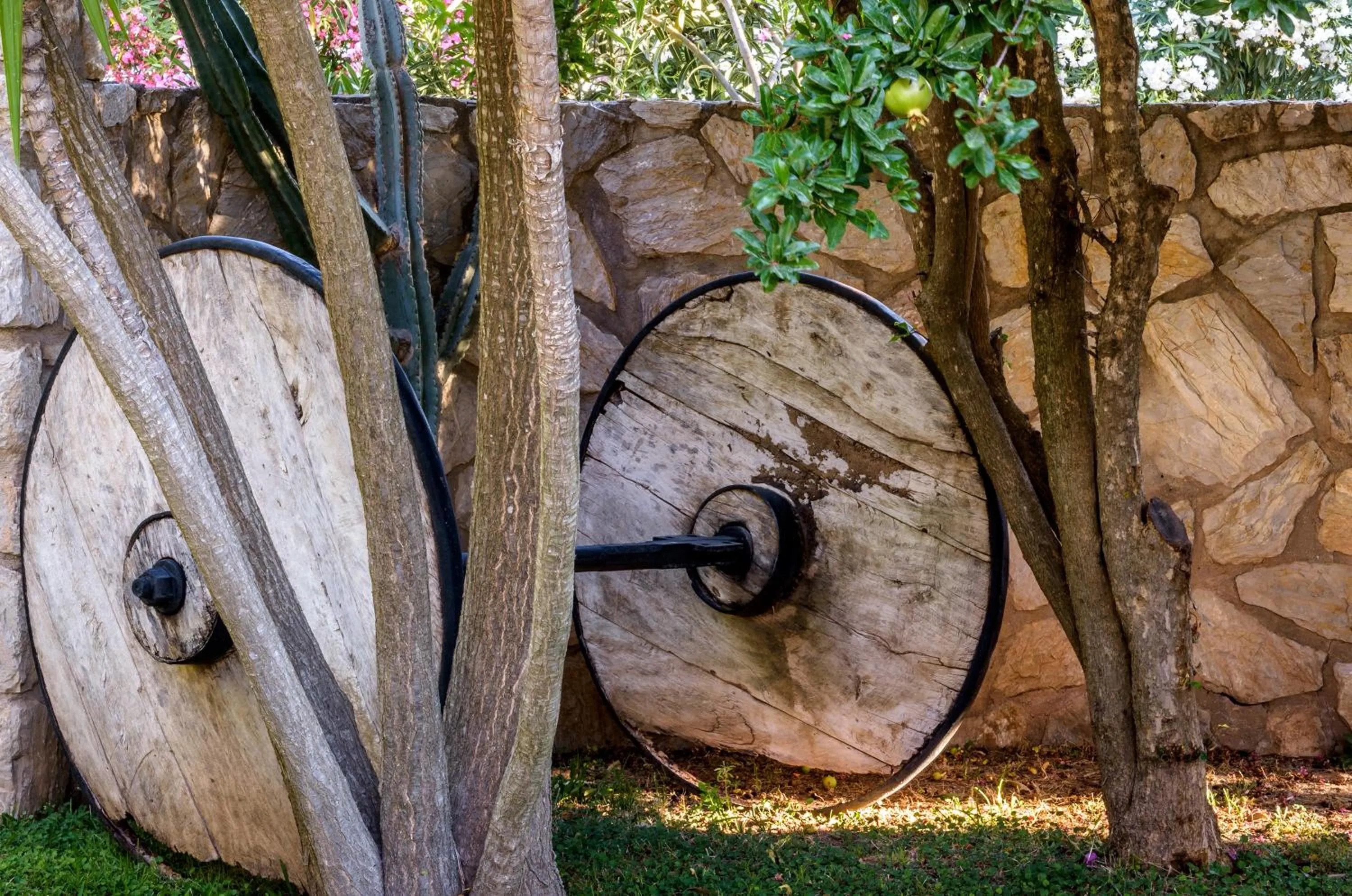Garden in Marphe Hotel