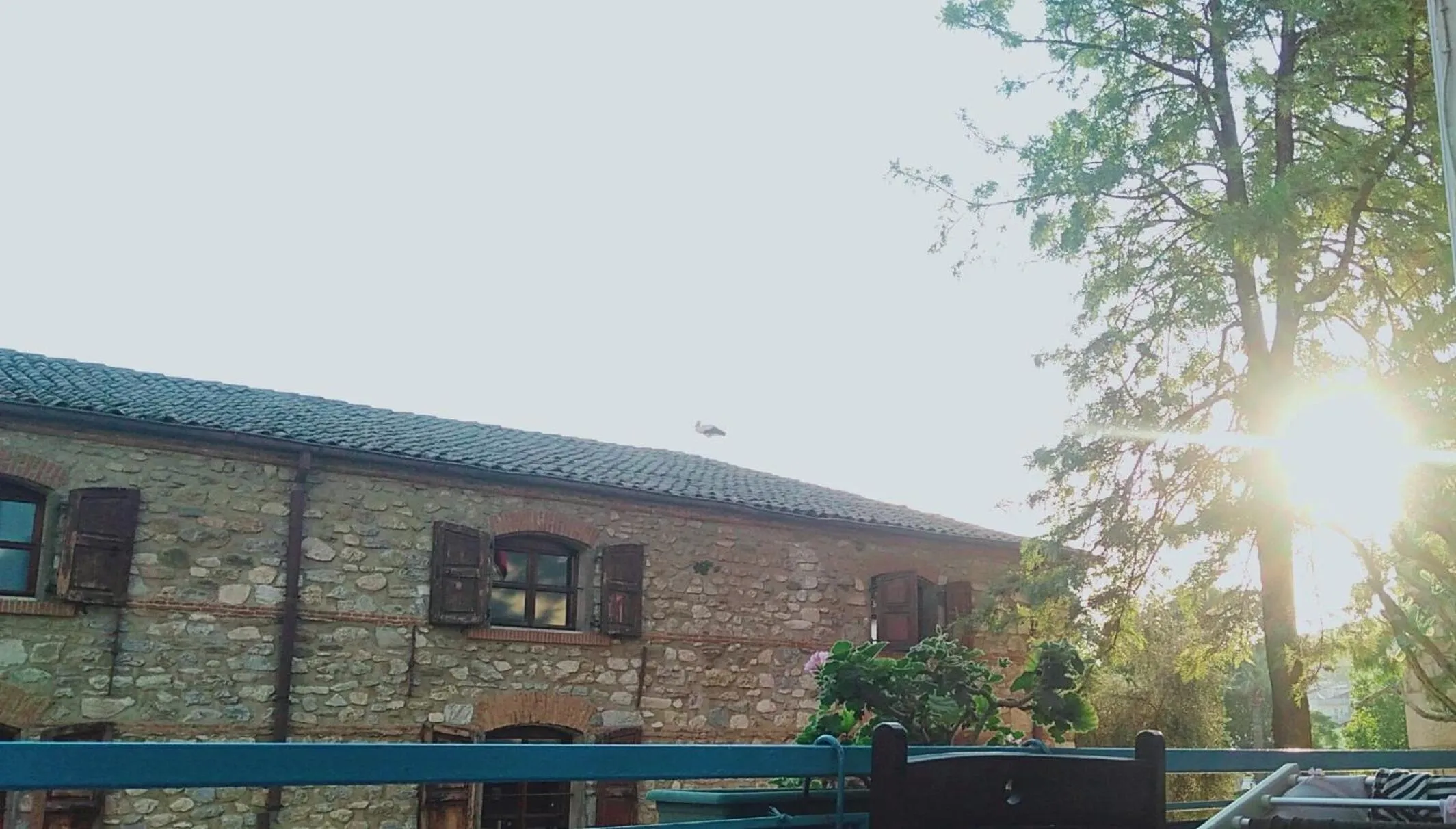 View (from property/room) in Urkmez Hotel