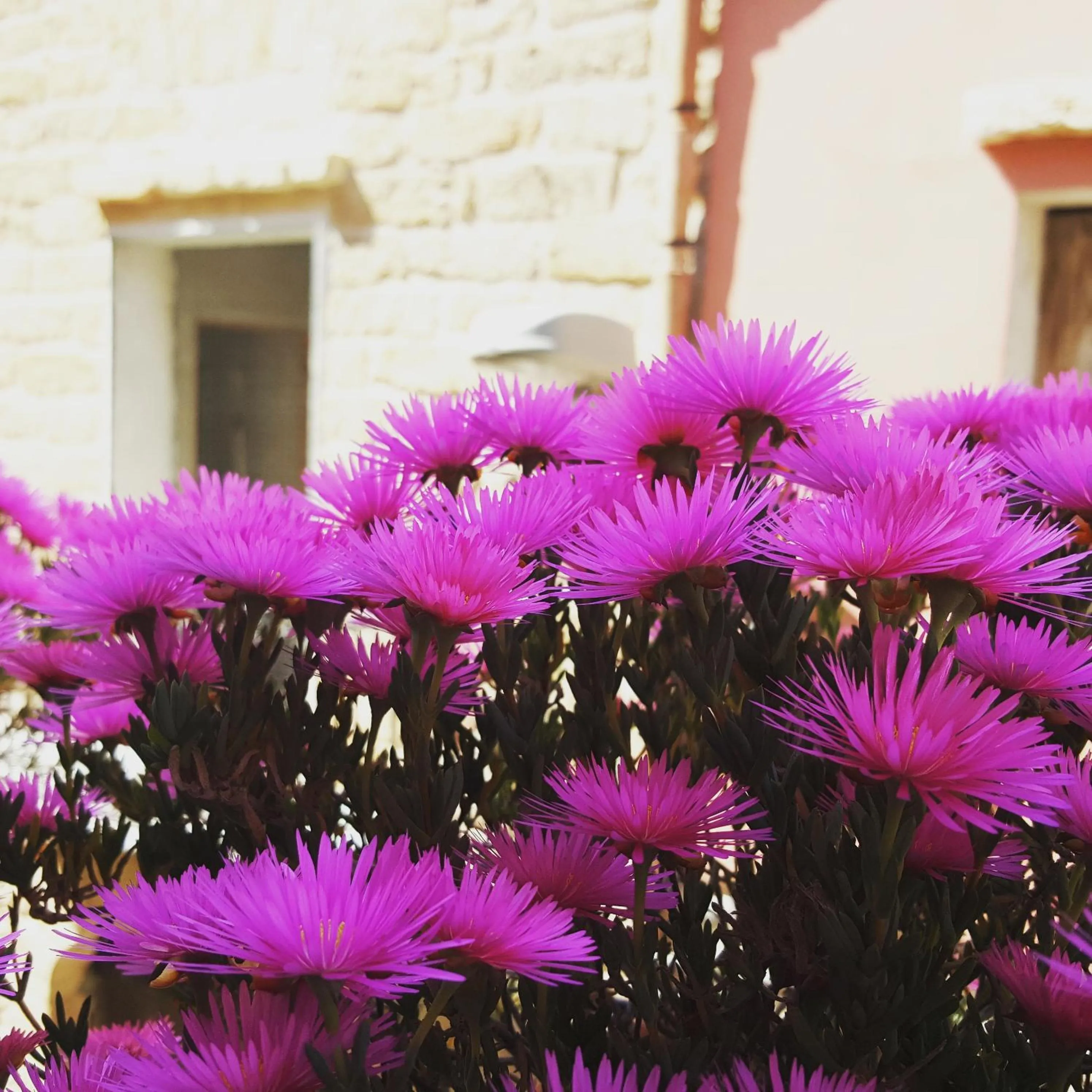 Decorative detail in B&B Cinisi Vacanze