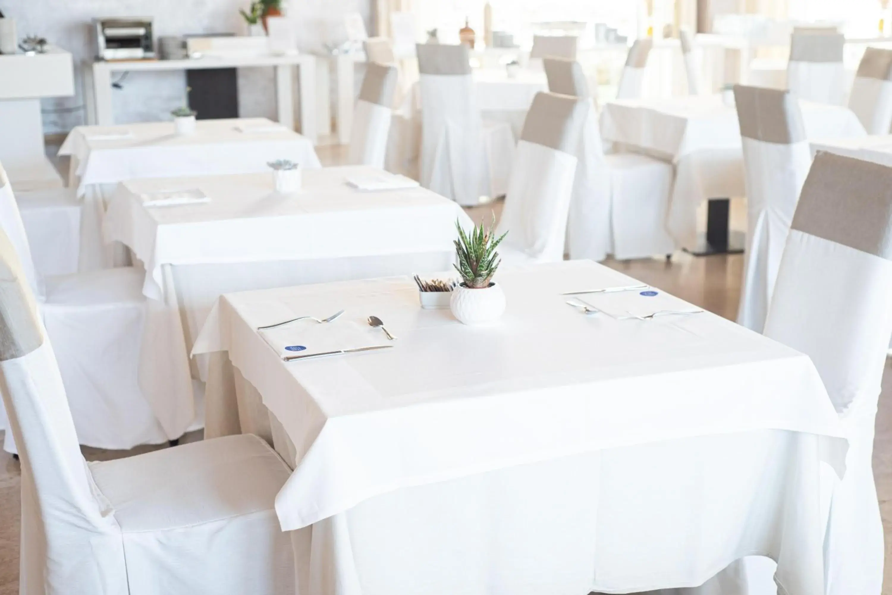 Restaurant/places to eat in Basiliani - CDSHotels Restaurant/places to eat in Basiliani - CDSHotels