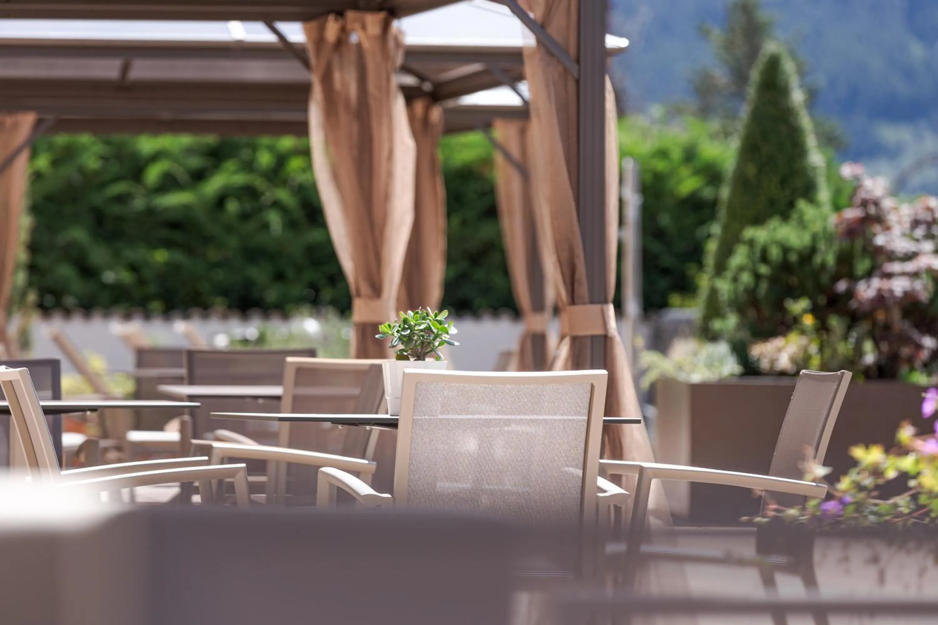 Summer in Hotel Bellavista