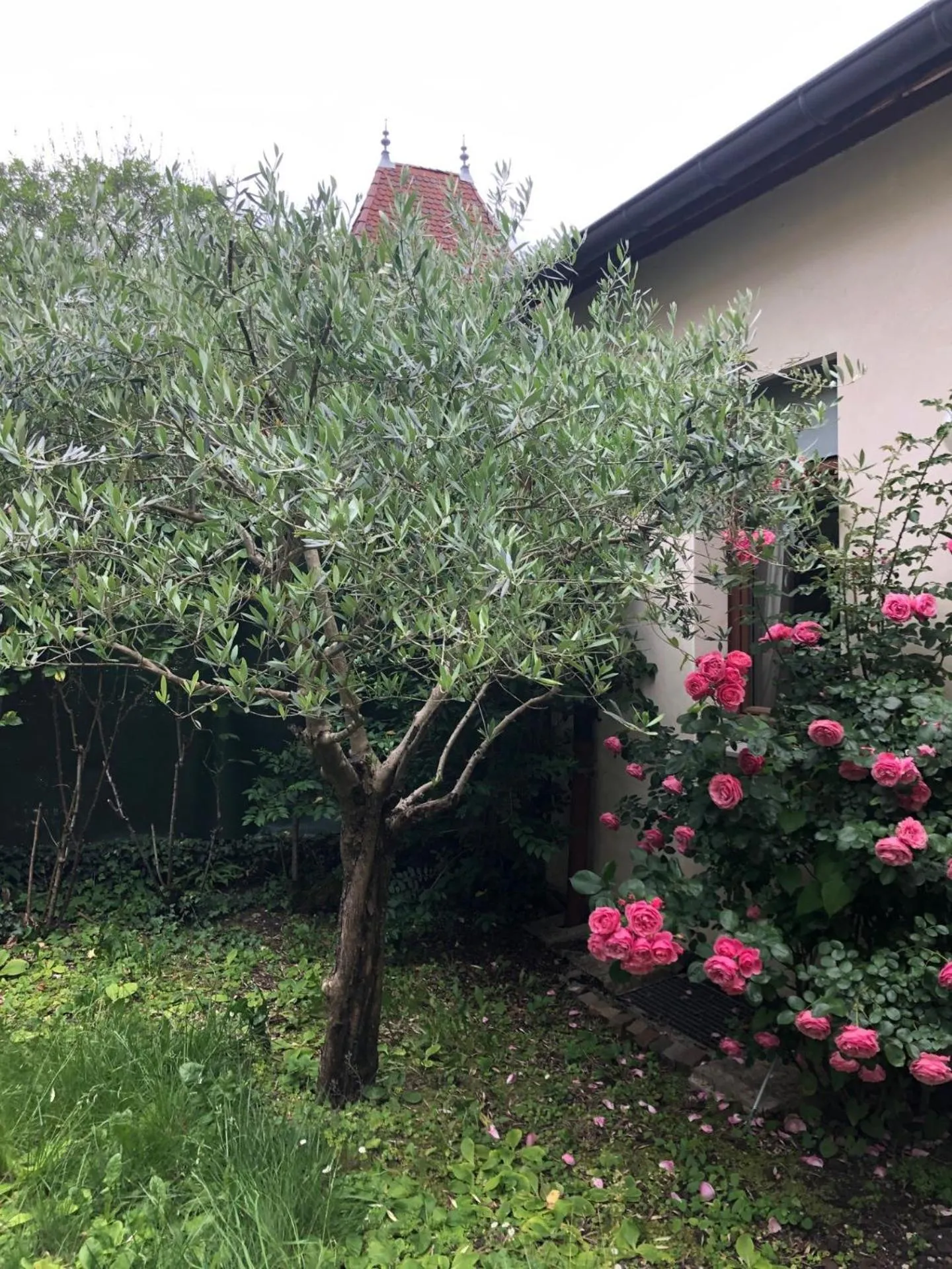 Les Jardins du Chateau