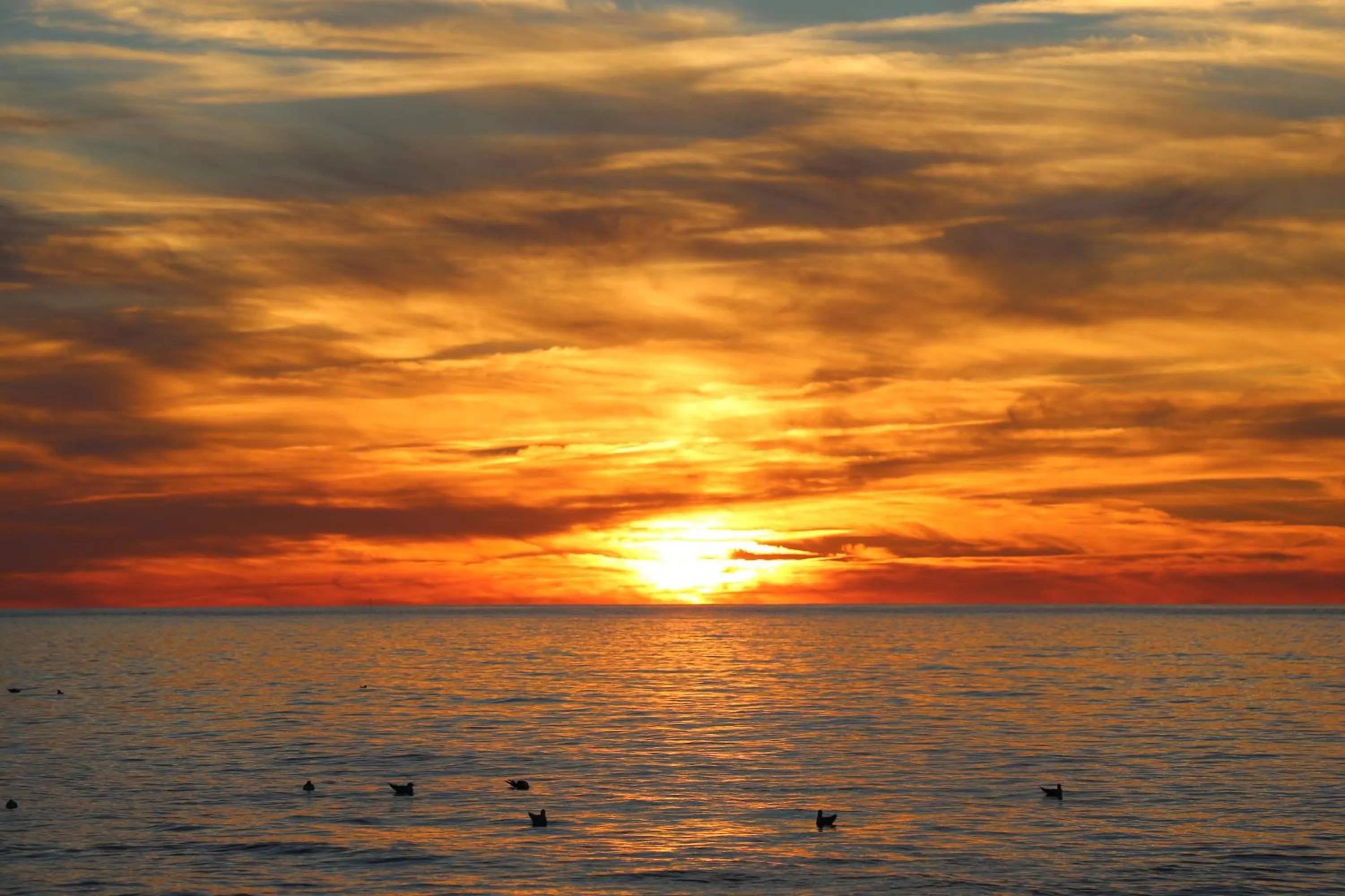 Beach in HAVET Hotel Resort & Spa