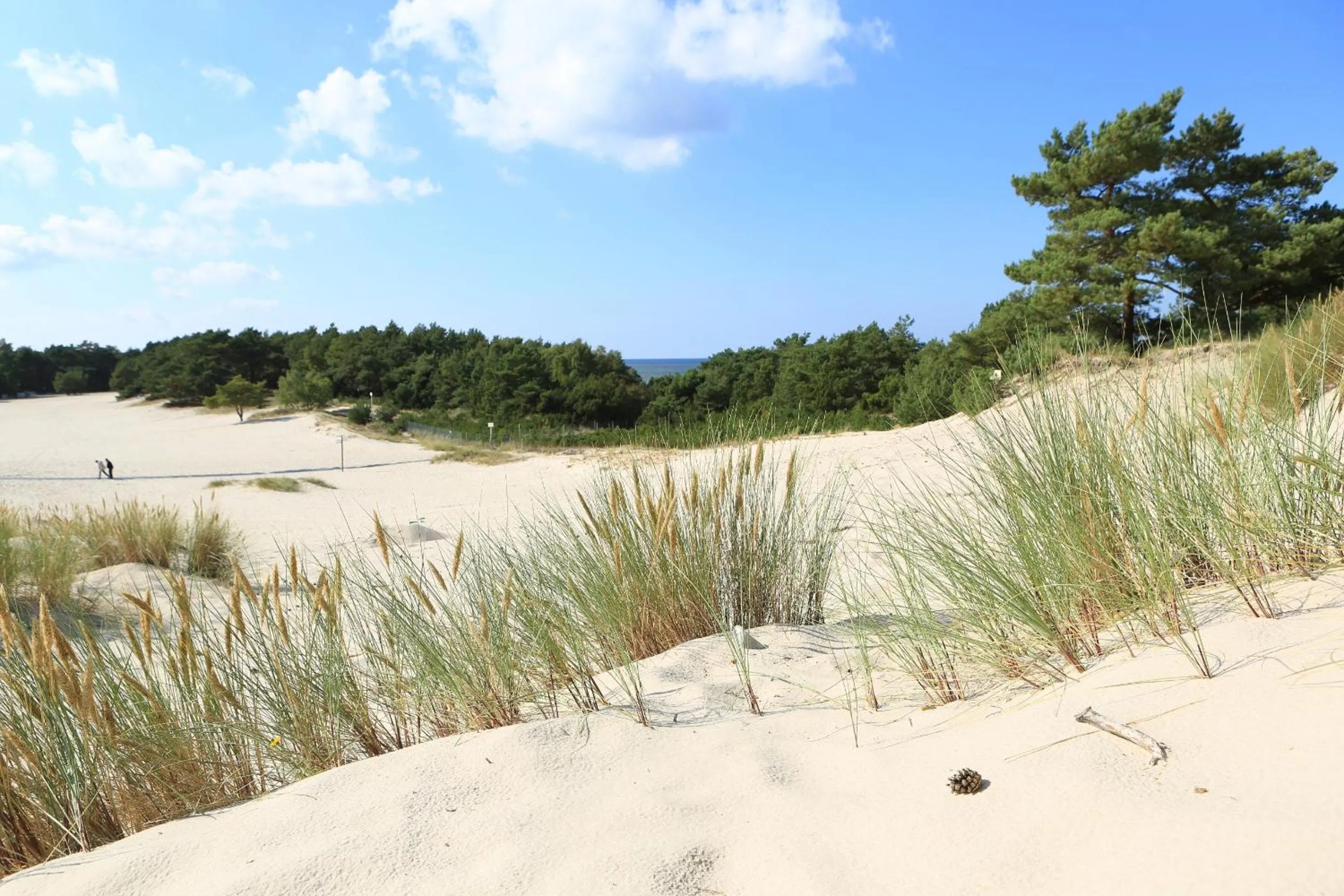Beach in HAVET Hotel Resort & Spa