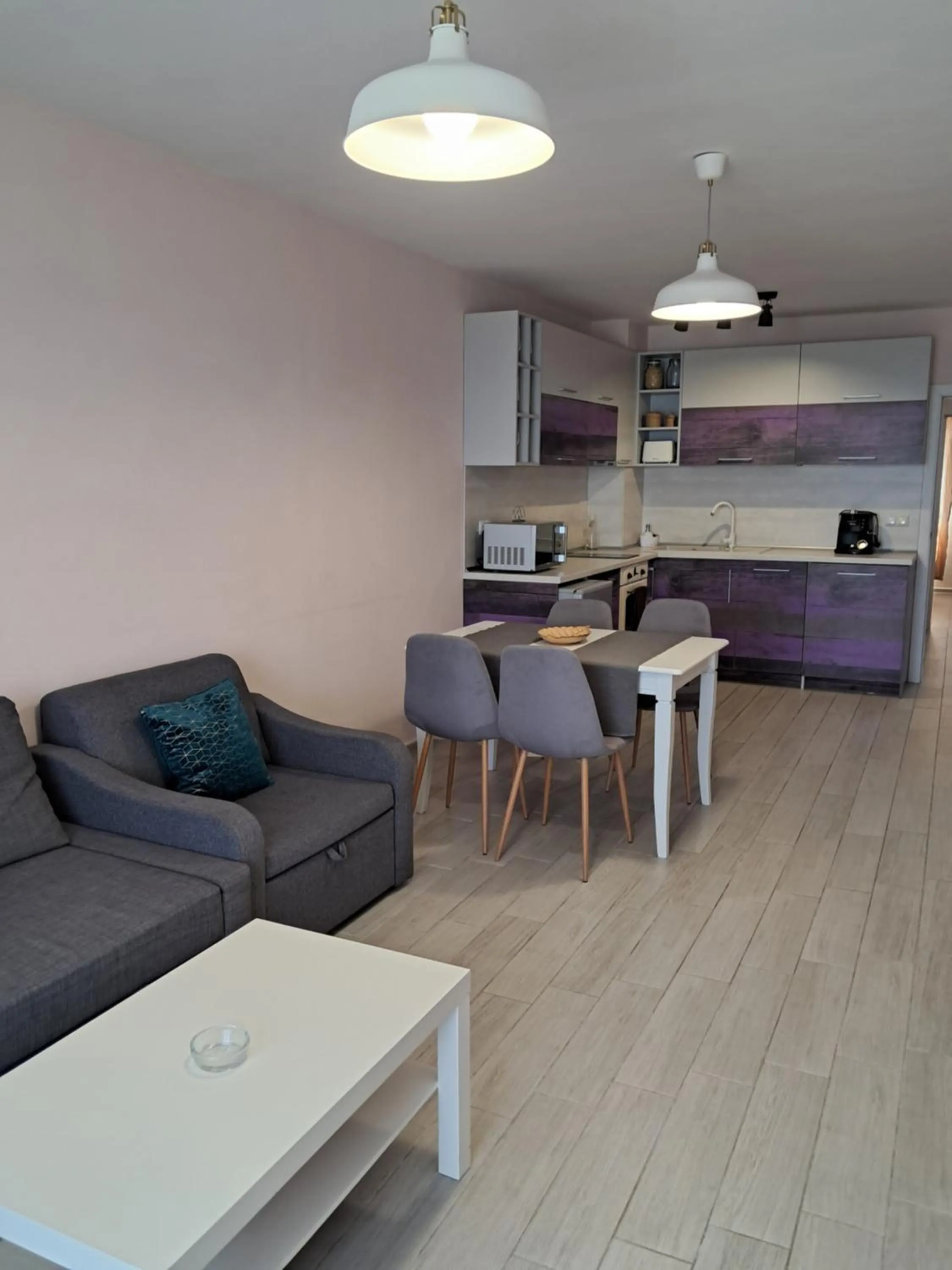 Kitchen or kitchenette in Apart Hotel Iglika