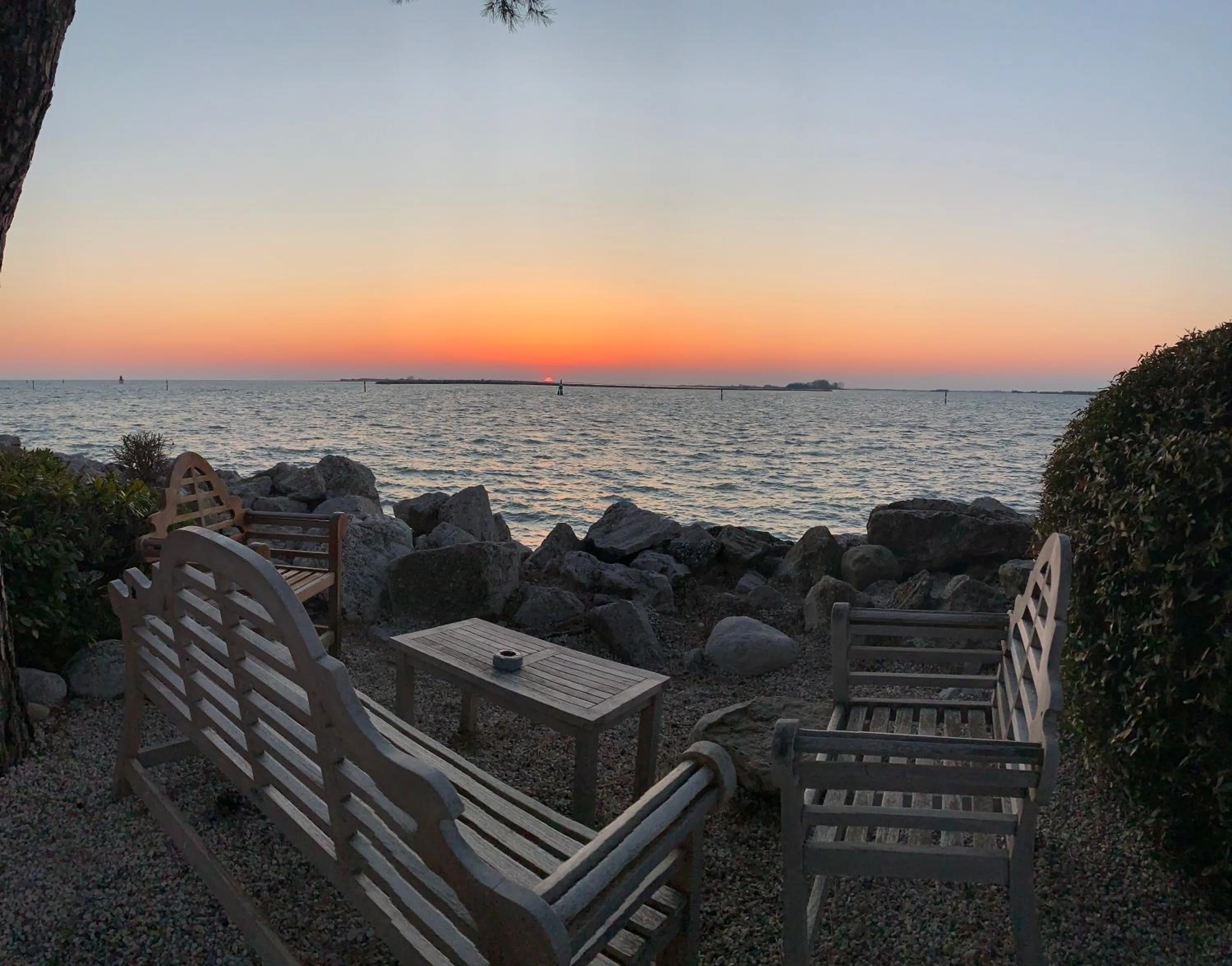 Restaurant/places to eat in Nauthotel