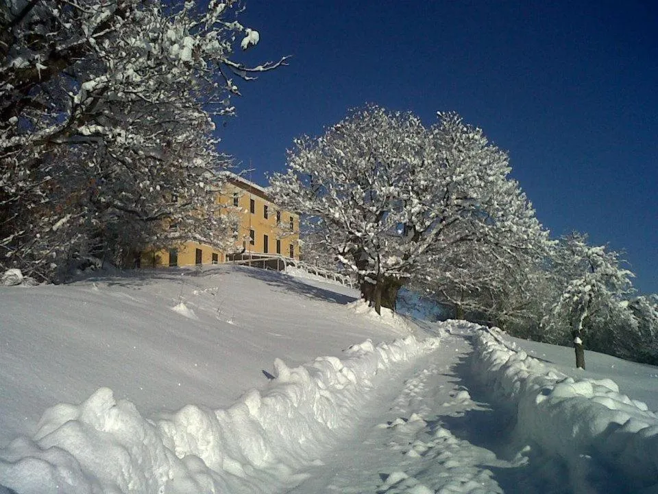 Property building in Hotel Villa Simplicitas