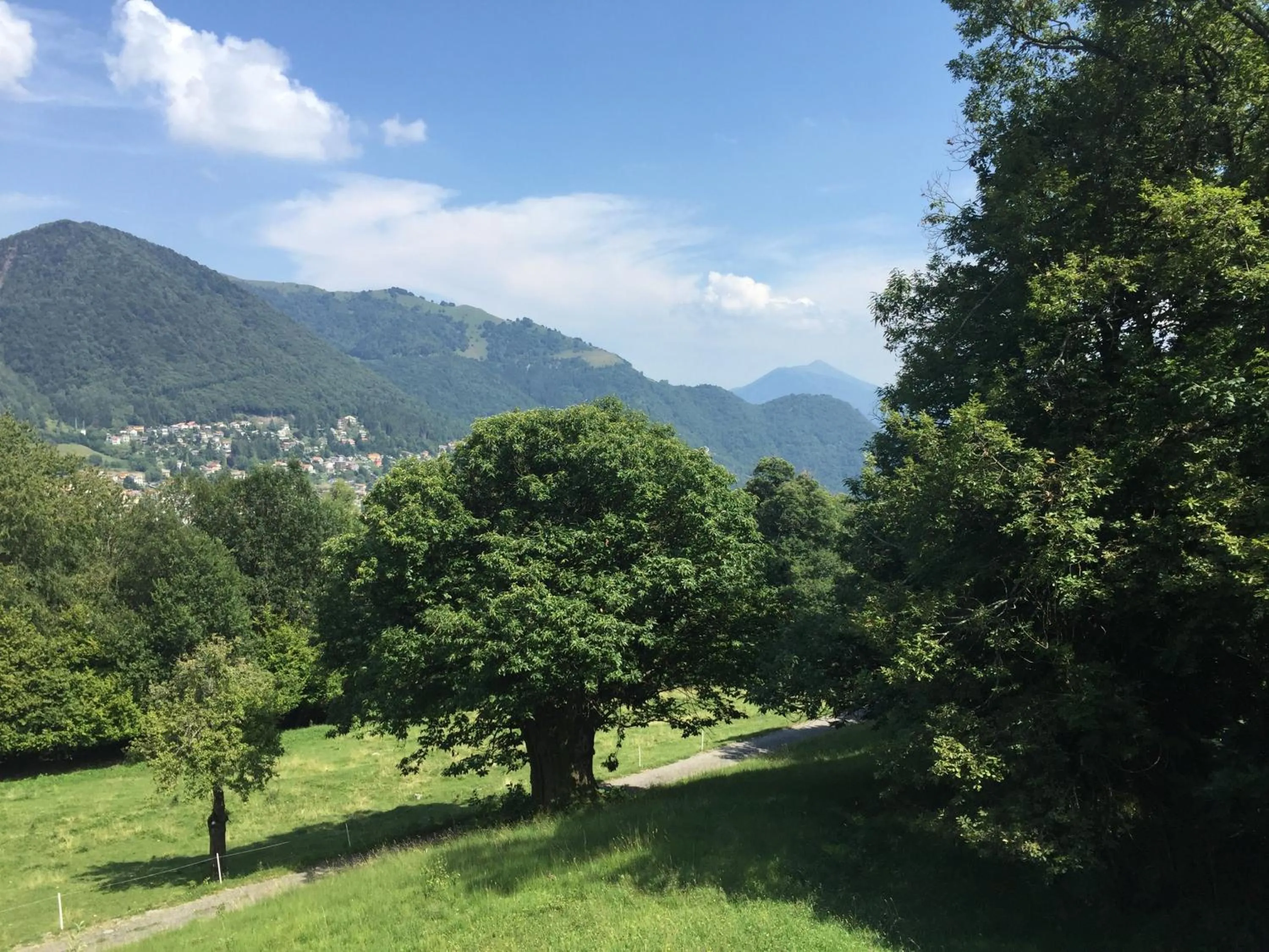 Balcony/Terrace in Hotel Villa Simplicitas