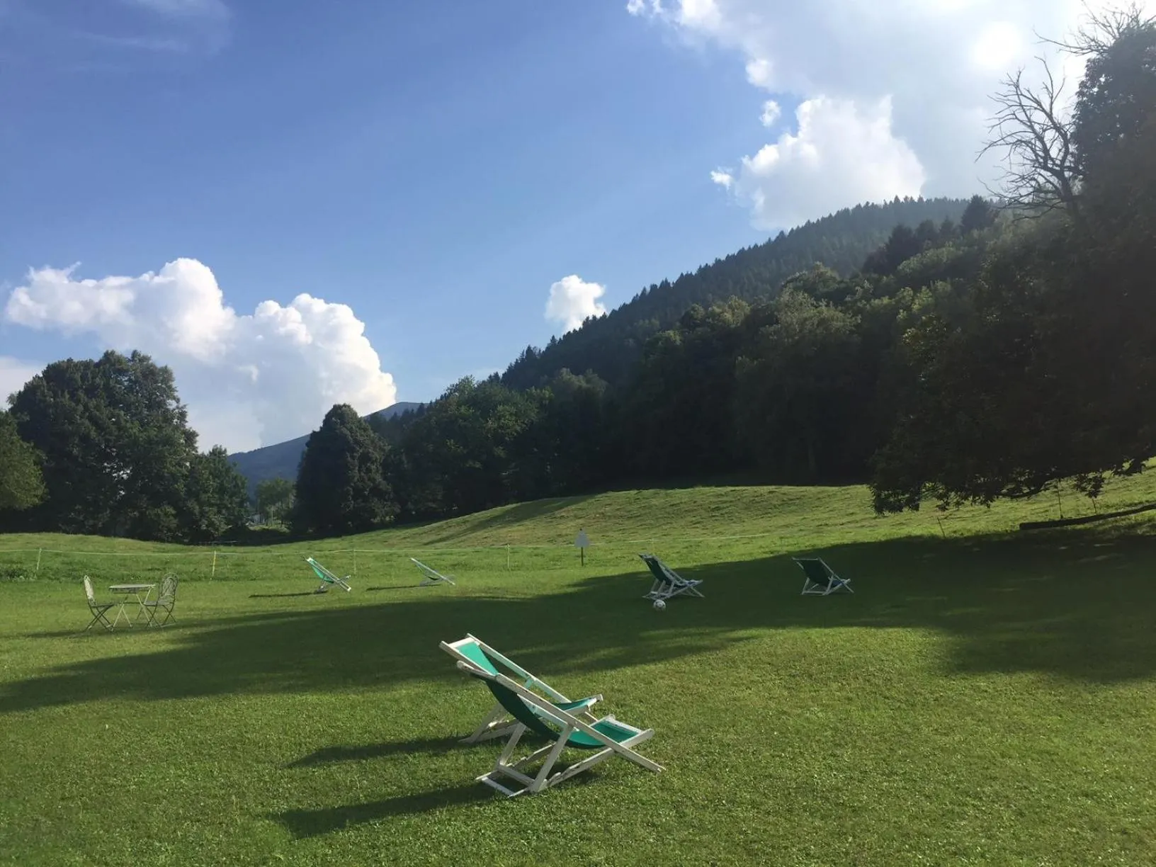 Garden in Hotel Villa Simplicitas