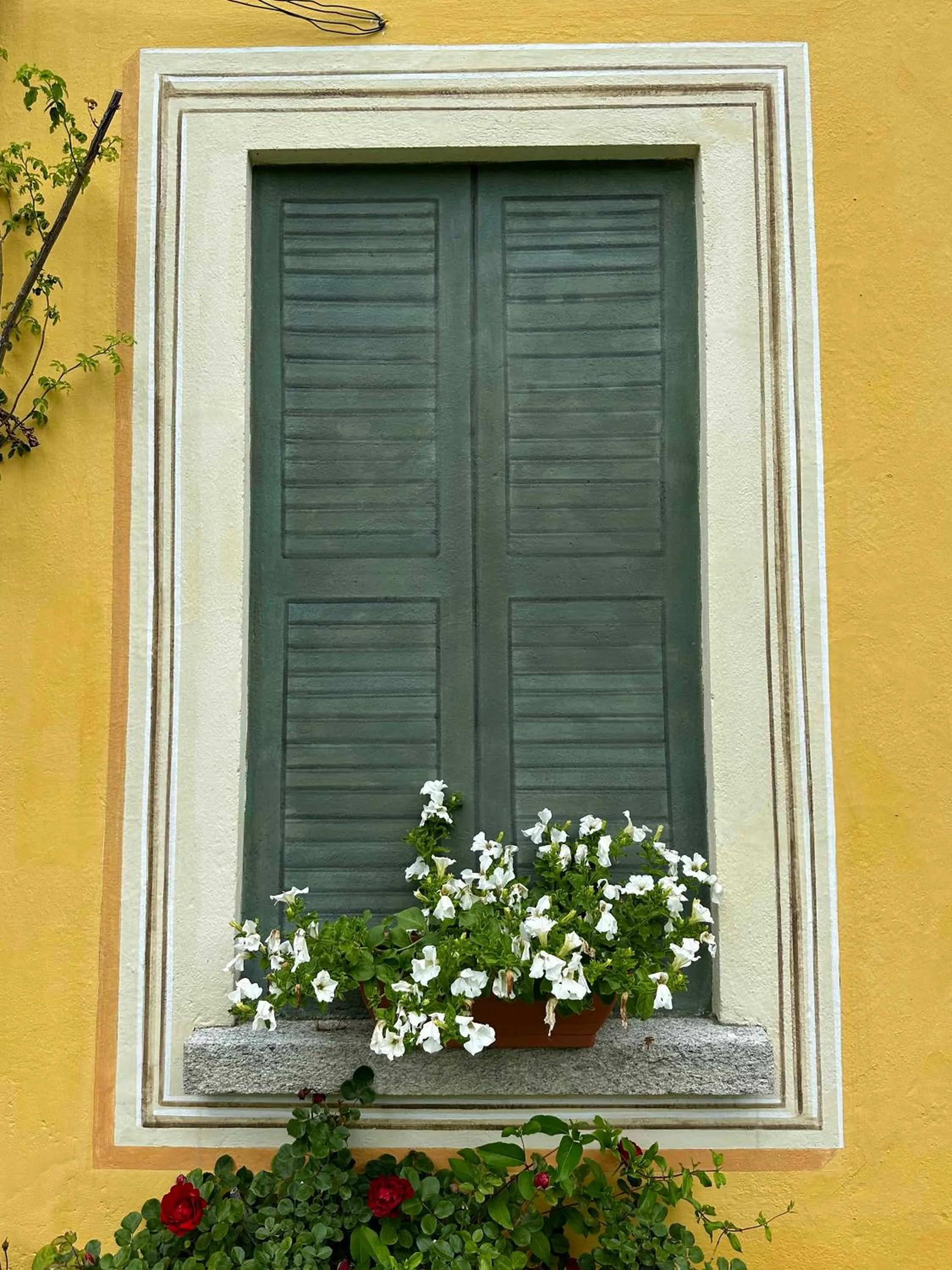 Hotel Villa Simplicitas