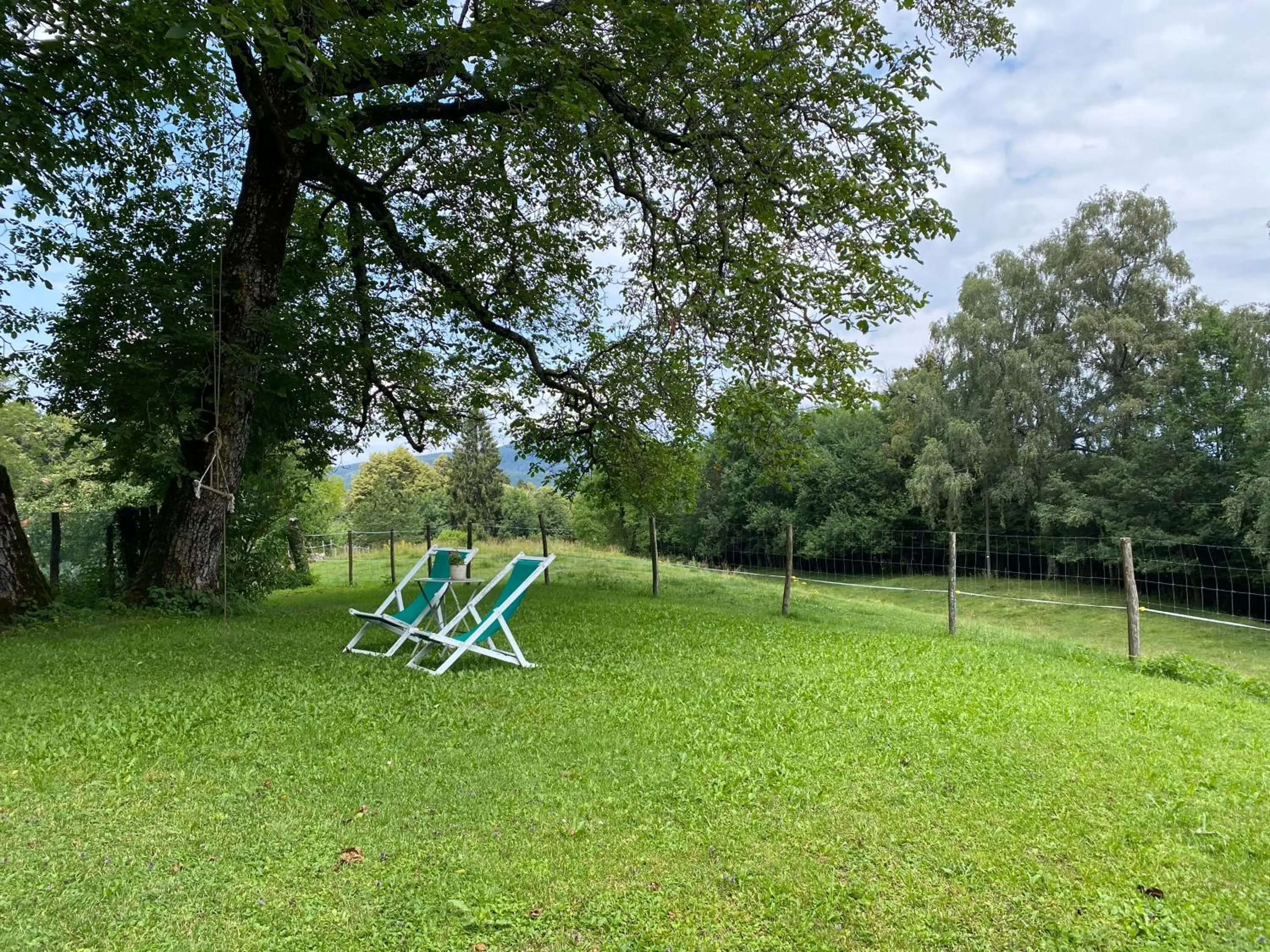 Garden in Hotel Villa Simplicitas