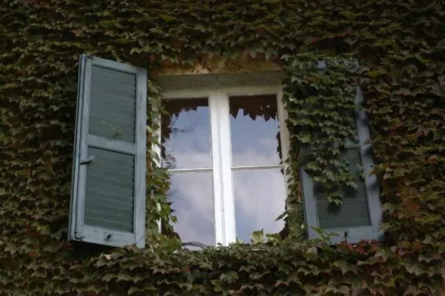 Decorative detail in Hotel Villa Simplicitas