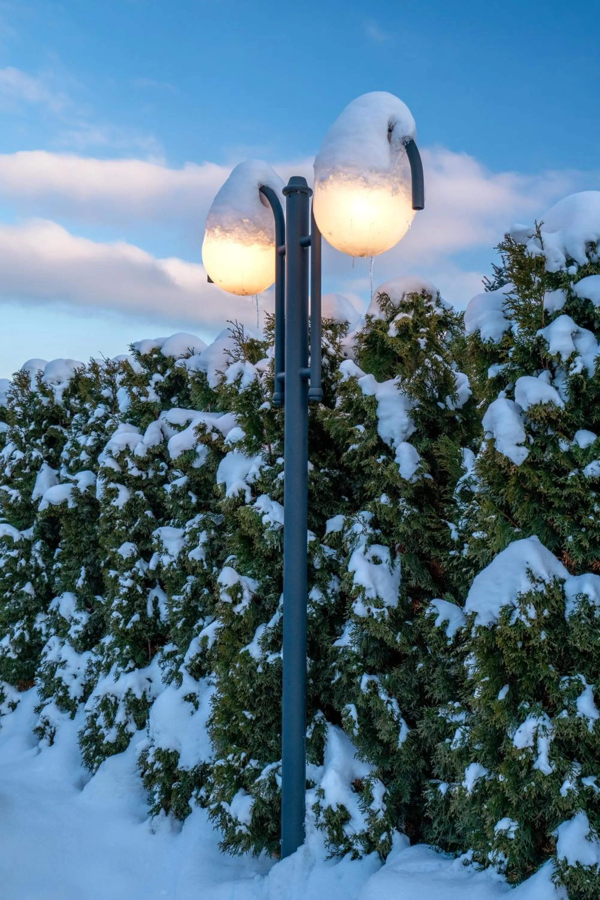 Natural landscape in Parzenica B&B - Wyjątkowa i Jedyna!!! Sprawdź nas a nie pożałujesz!