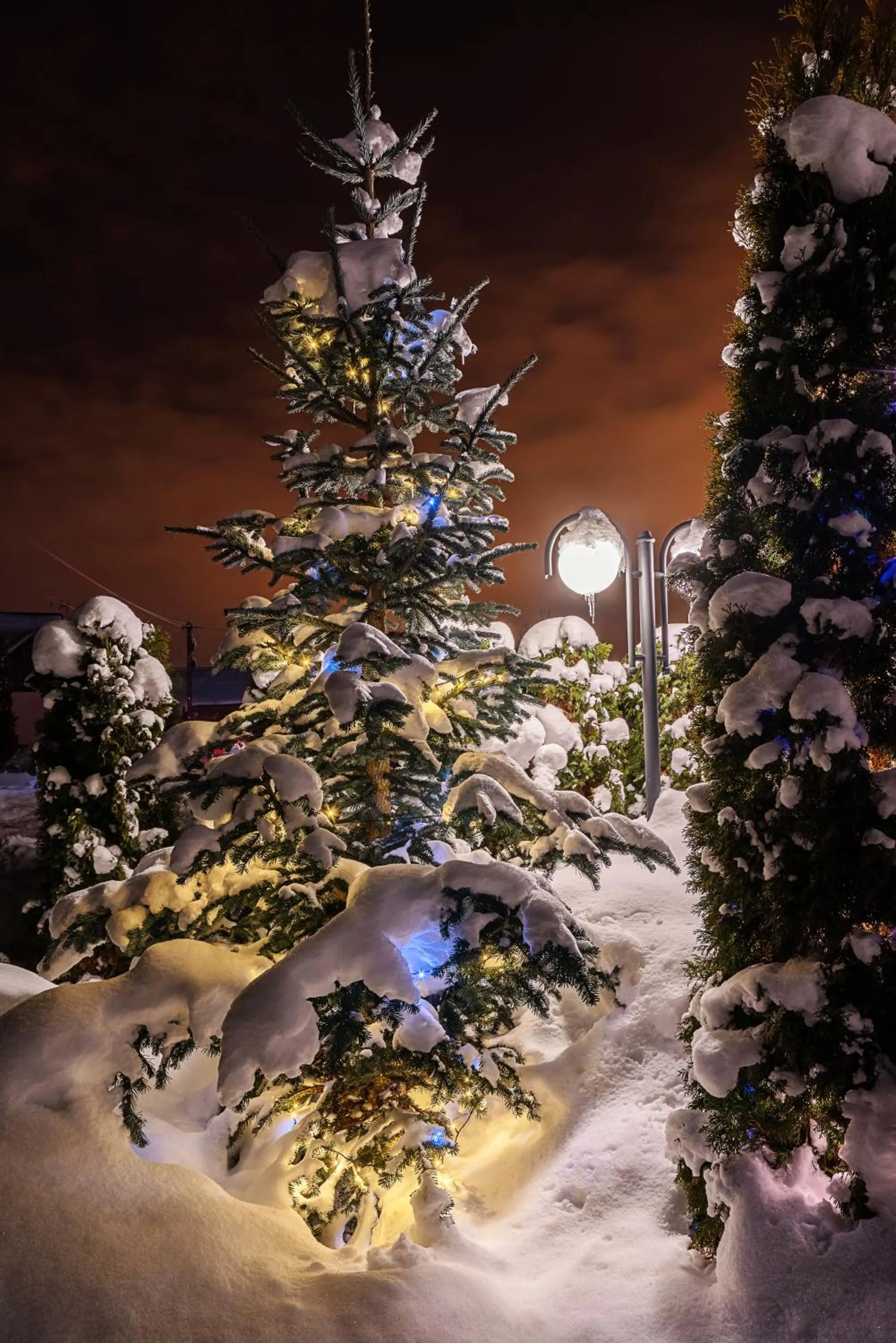 Night in Parzenica B&B - Wyjątkowa i Jedyna!!! Sprawdź nas a nie pożałujesz!