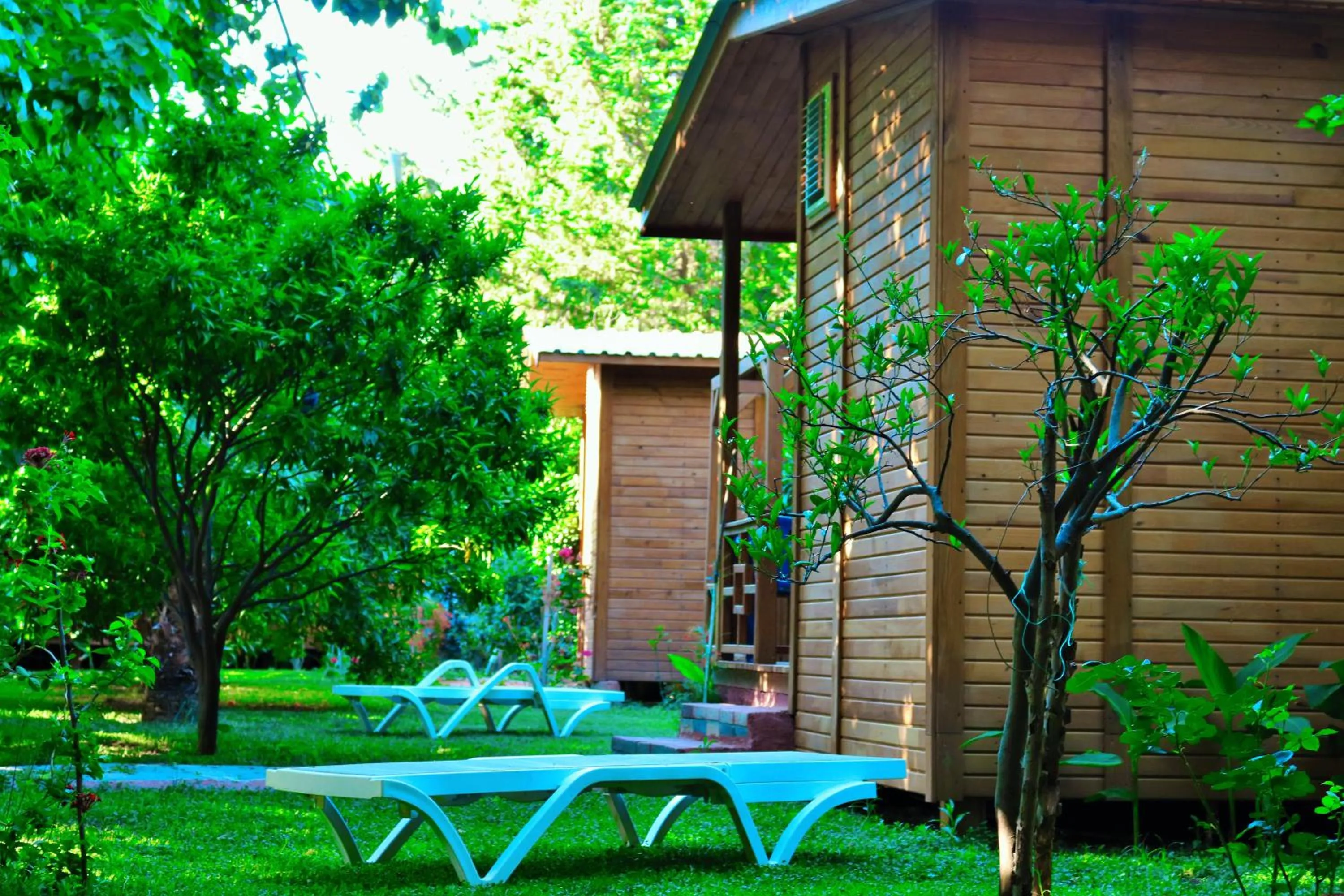 Garden view in Simge Pension