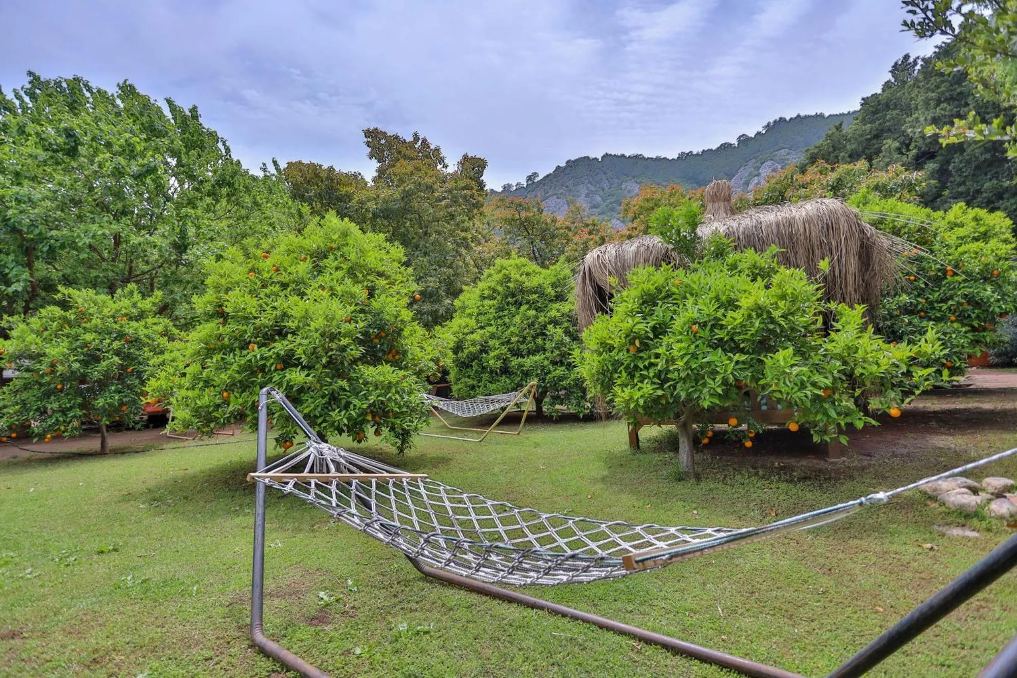 Garden in Simge Pension