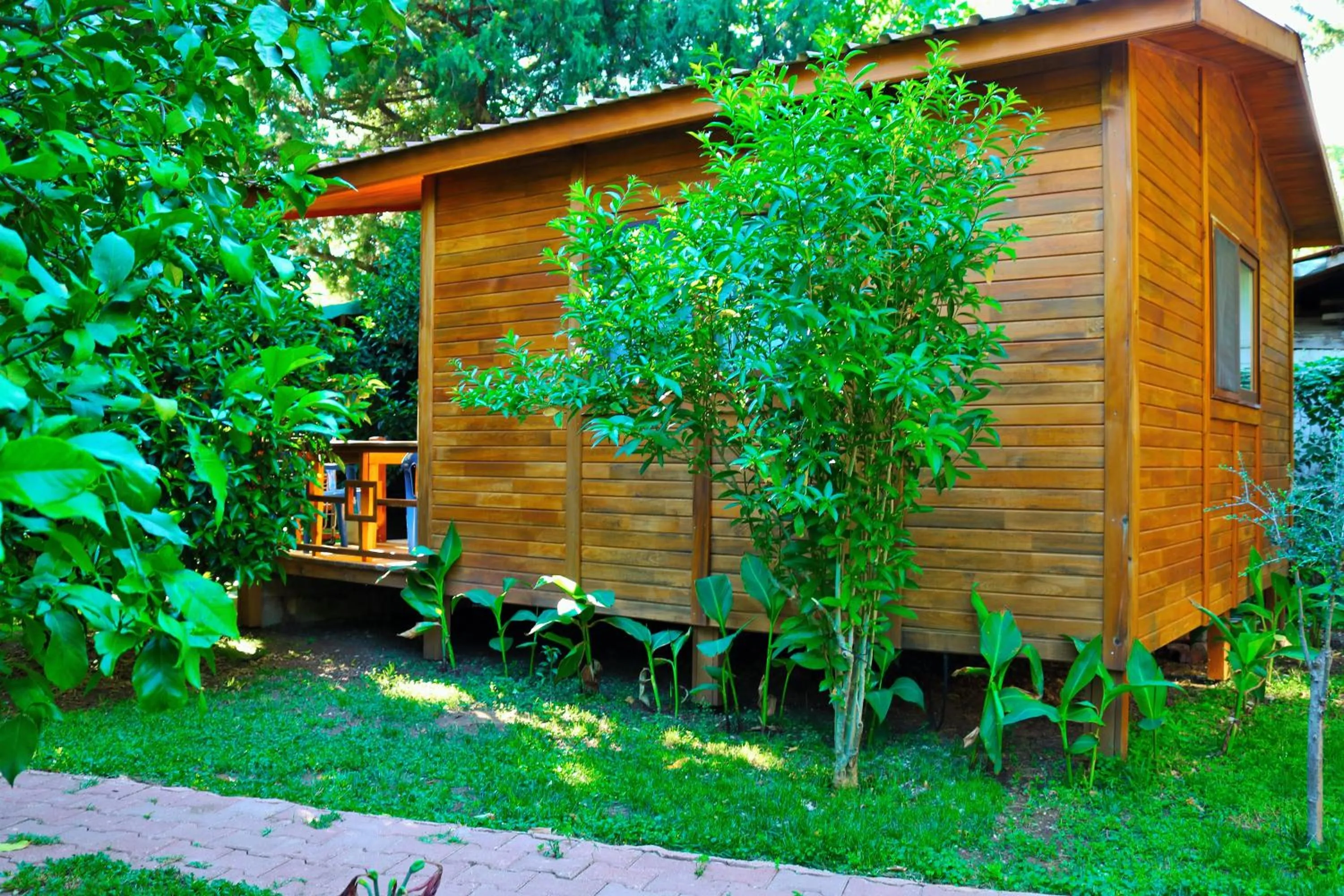 Garden in Simge Pension