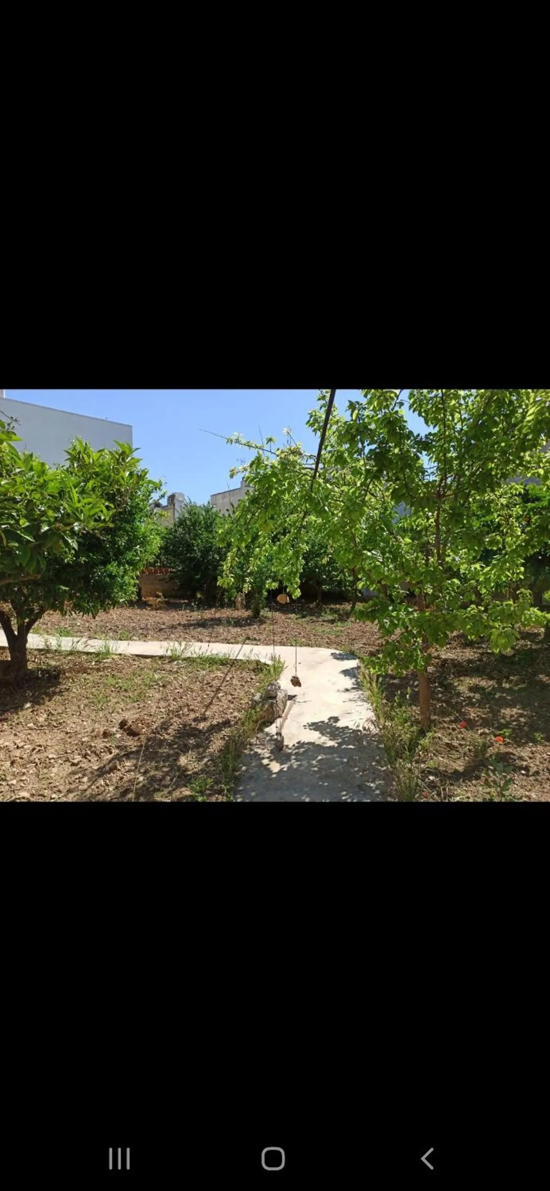 Garden in B&B L'Antico Ortale