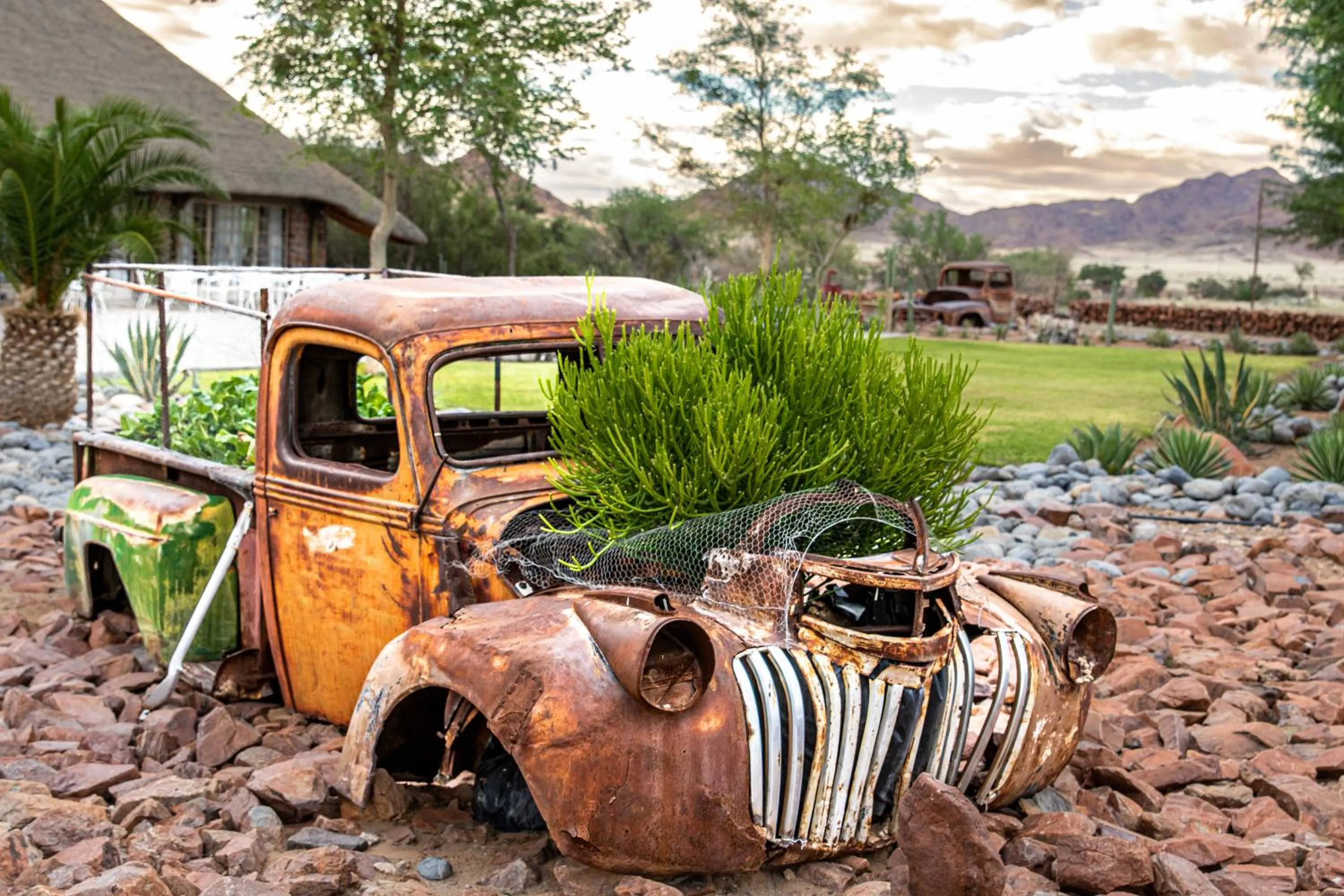 Garden in Elegant Desert Lodge
