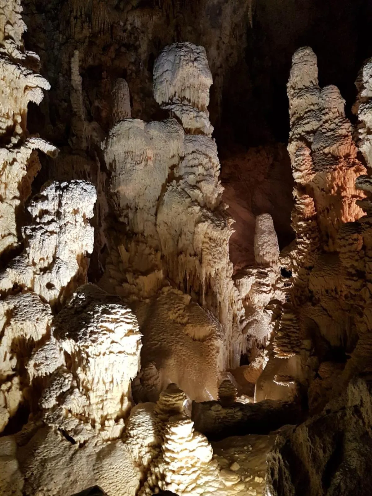 Residence Via Benamati