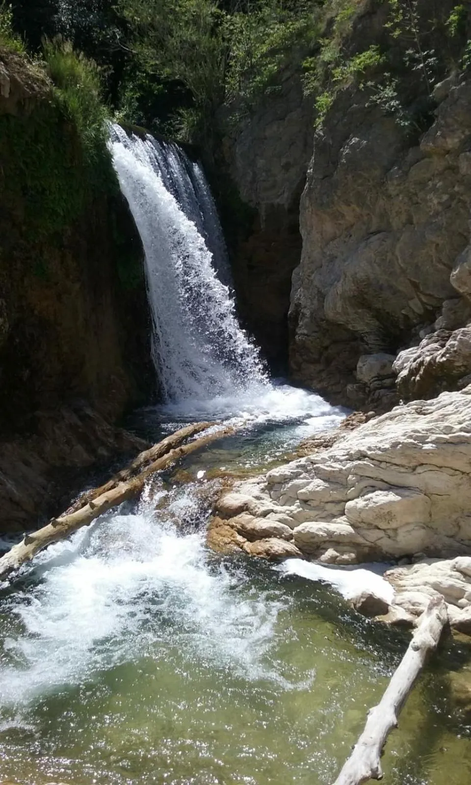 Residence Via Benamati