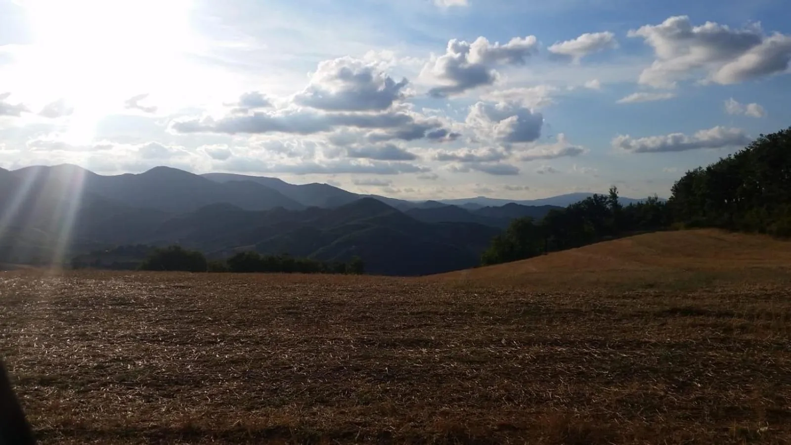 Residence Via Benamati