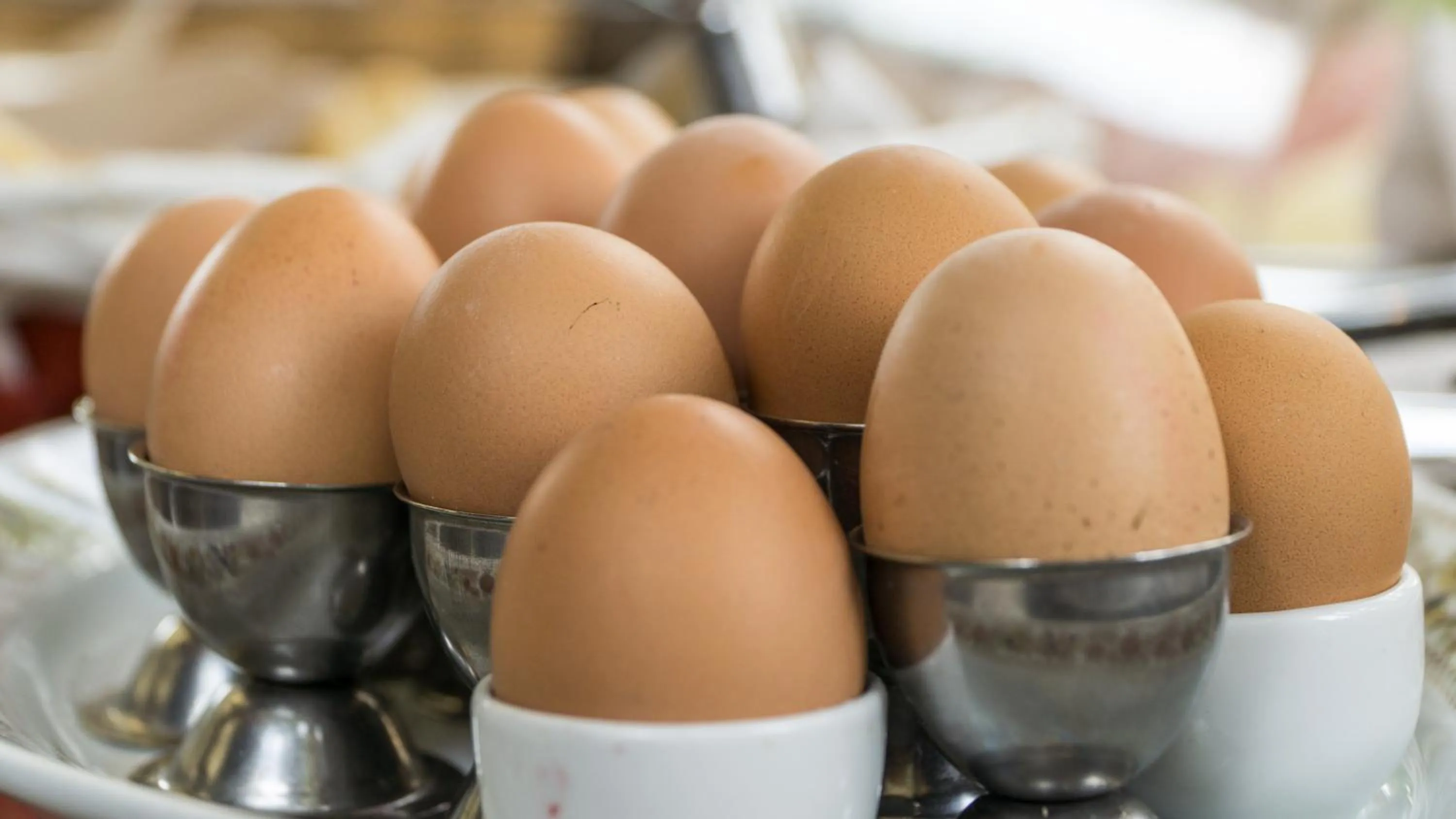 Food and drinks in Hotel Club i Pini - Residenza d'Epoca in Versilia