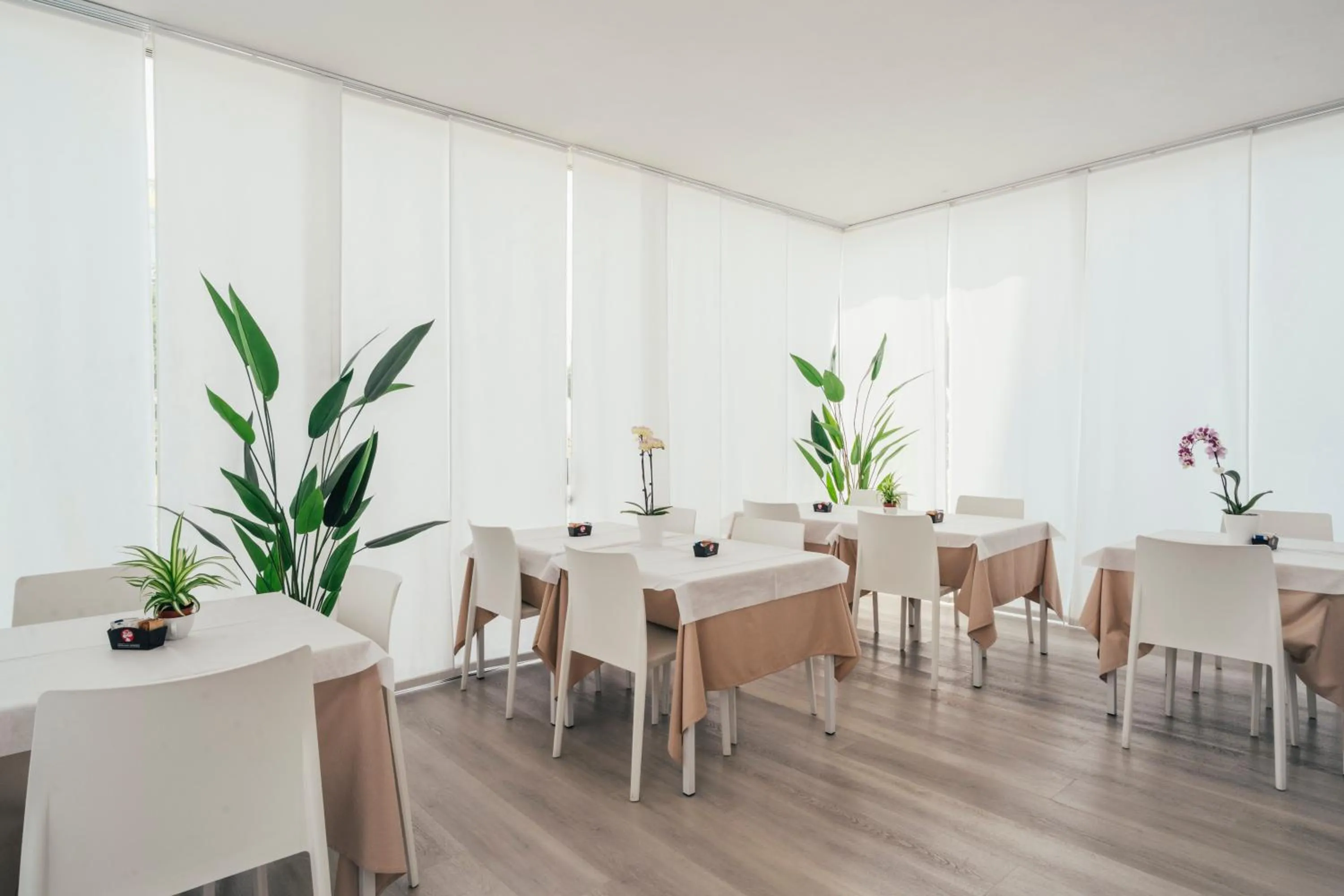 Lounge or bar in Euro Hotel