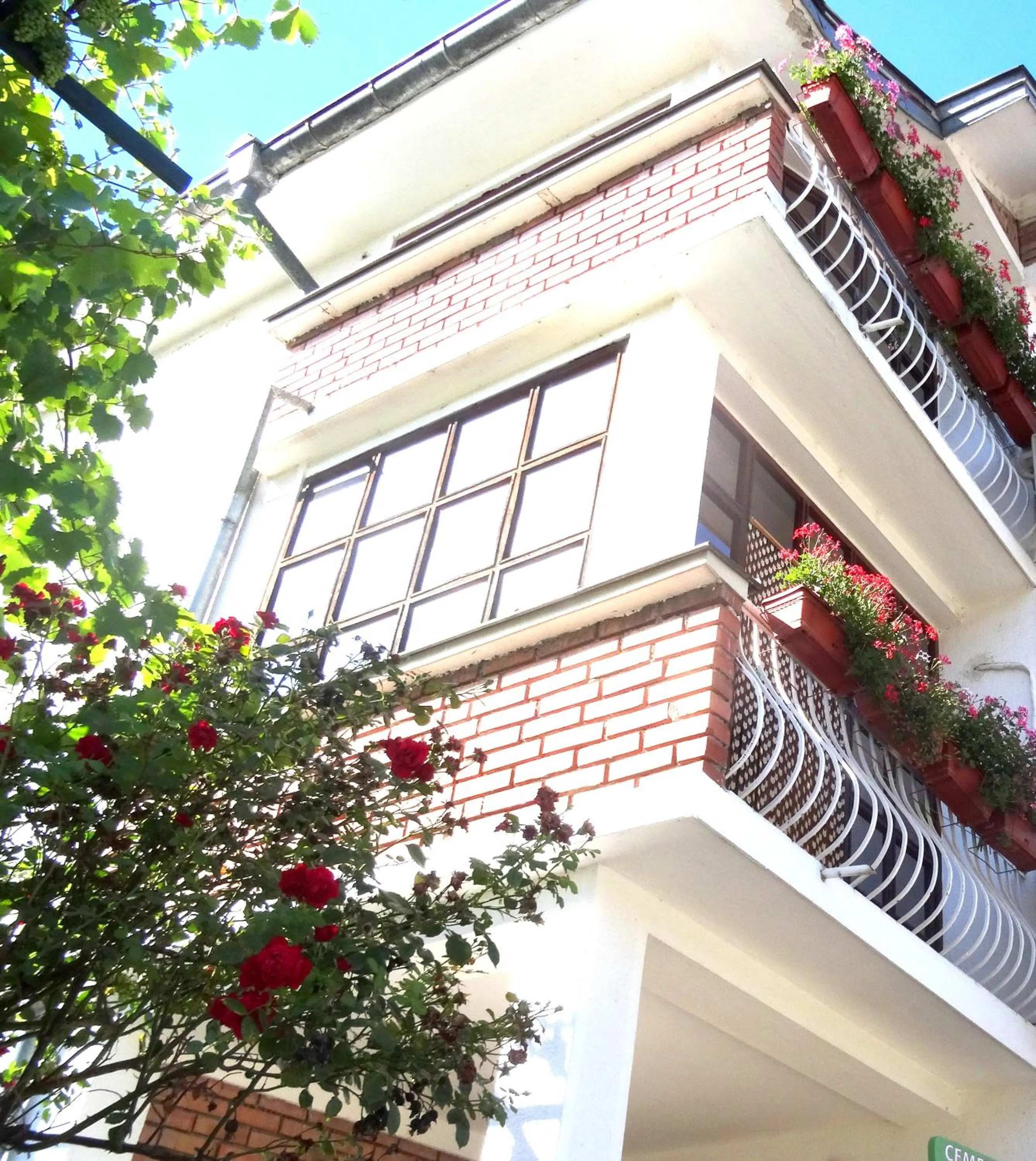 Family hotel Rose