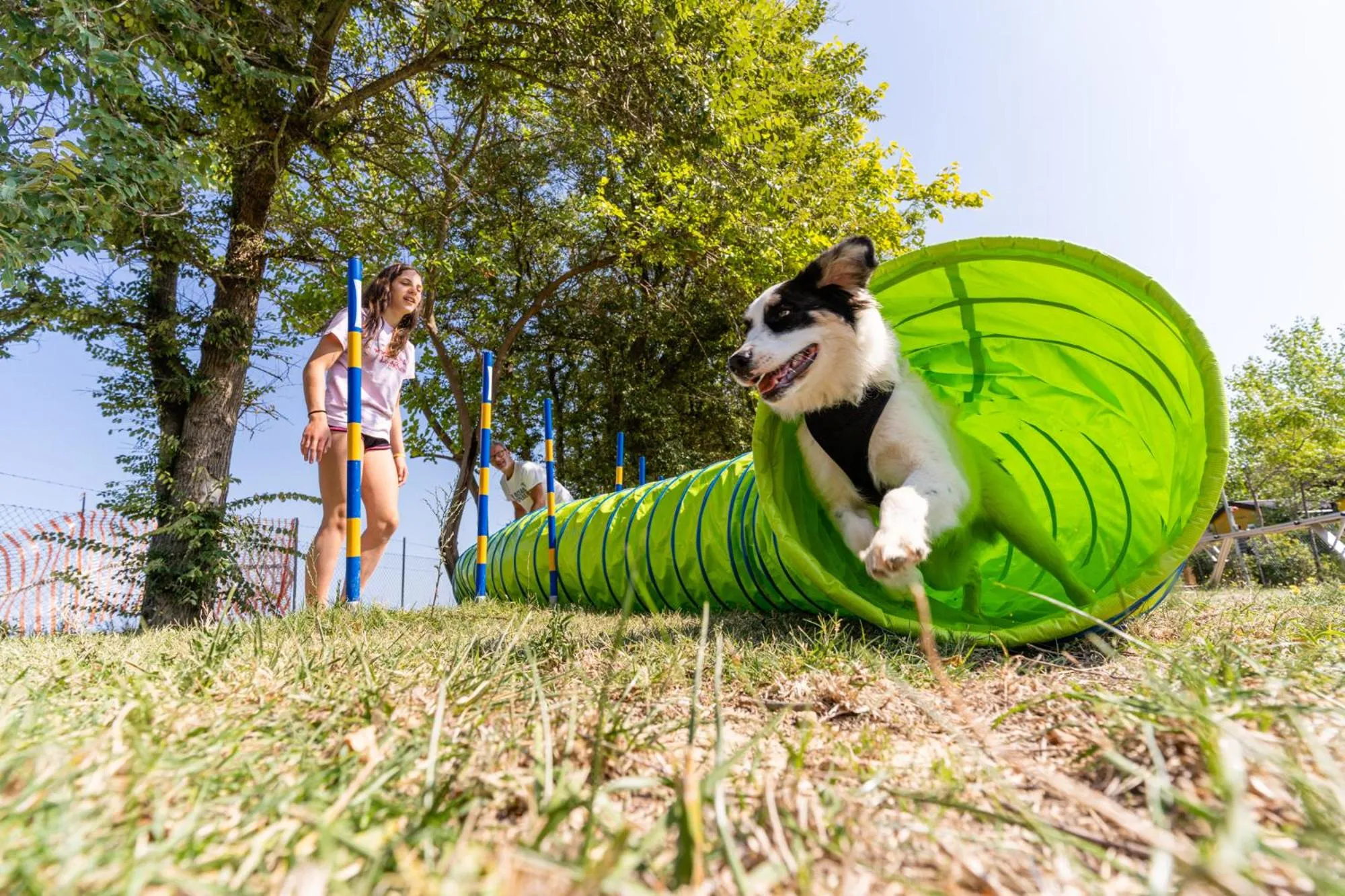 Animals in Club del Sole Desenzano Boutique Resort