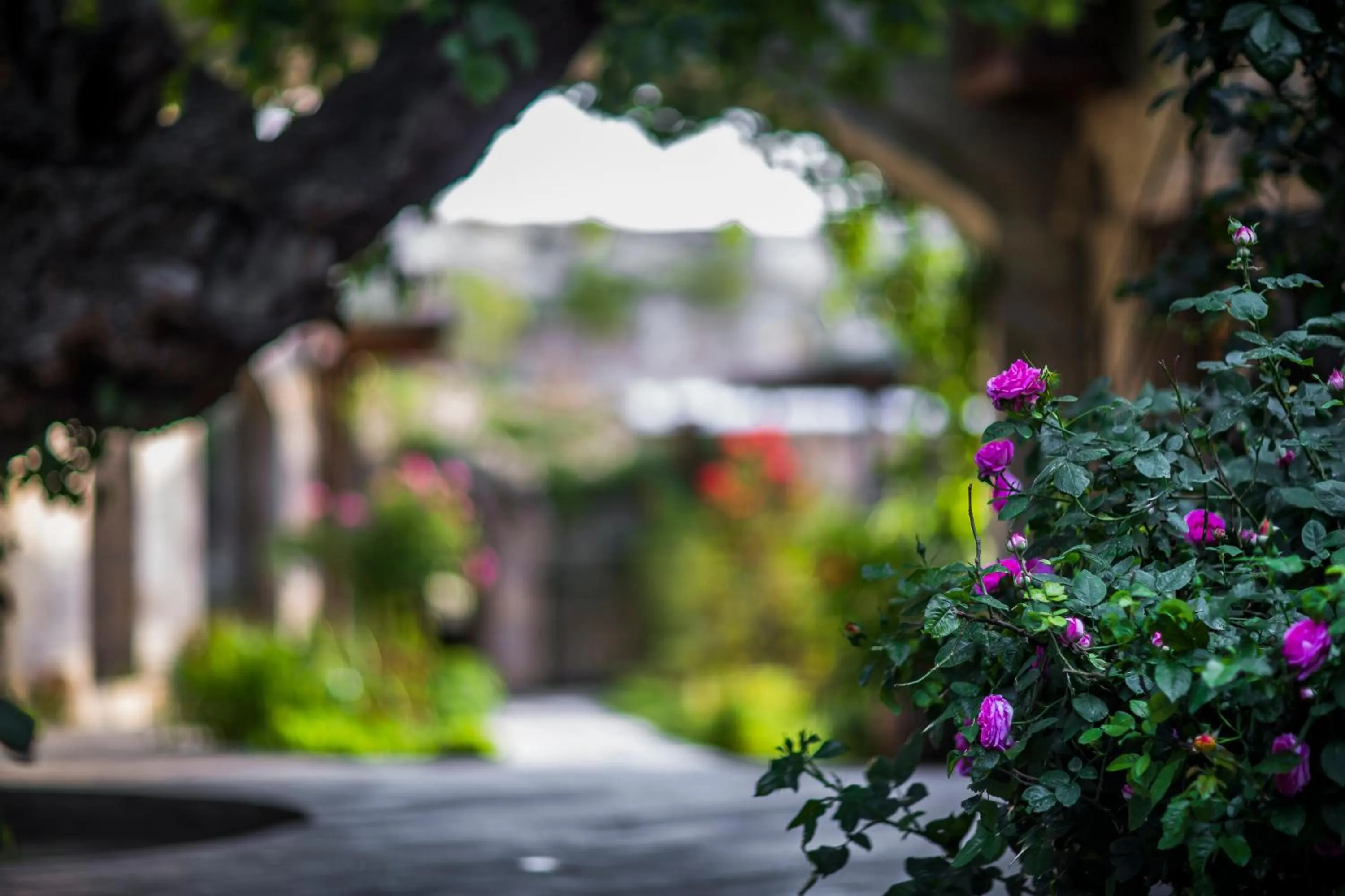 Facade/entrance in Dervish Cave House & Restaurant