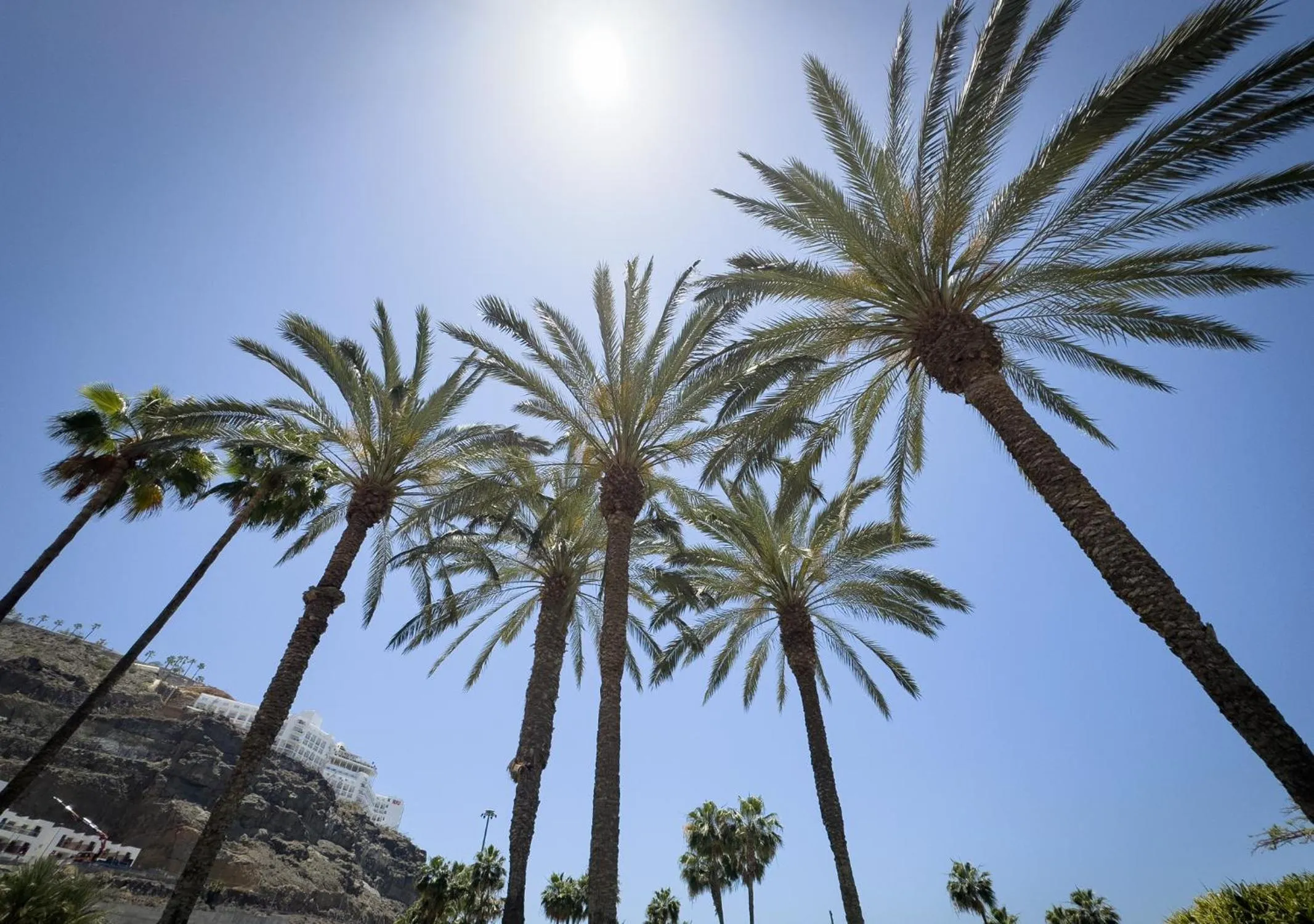 Property building in Holiday Club Playa Amadores