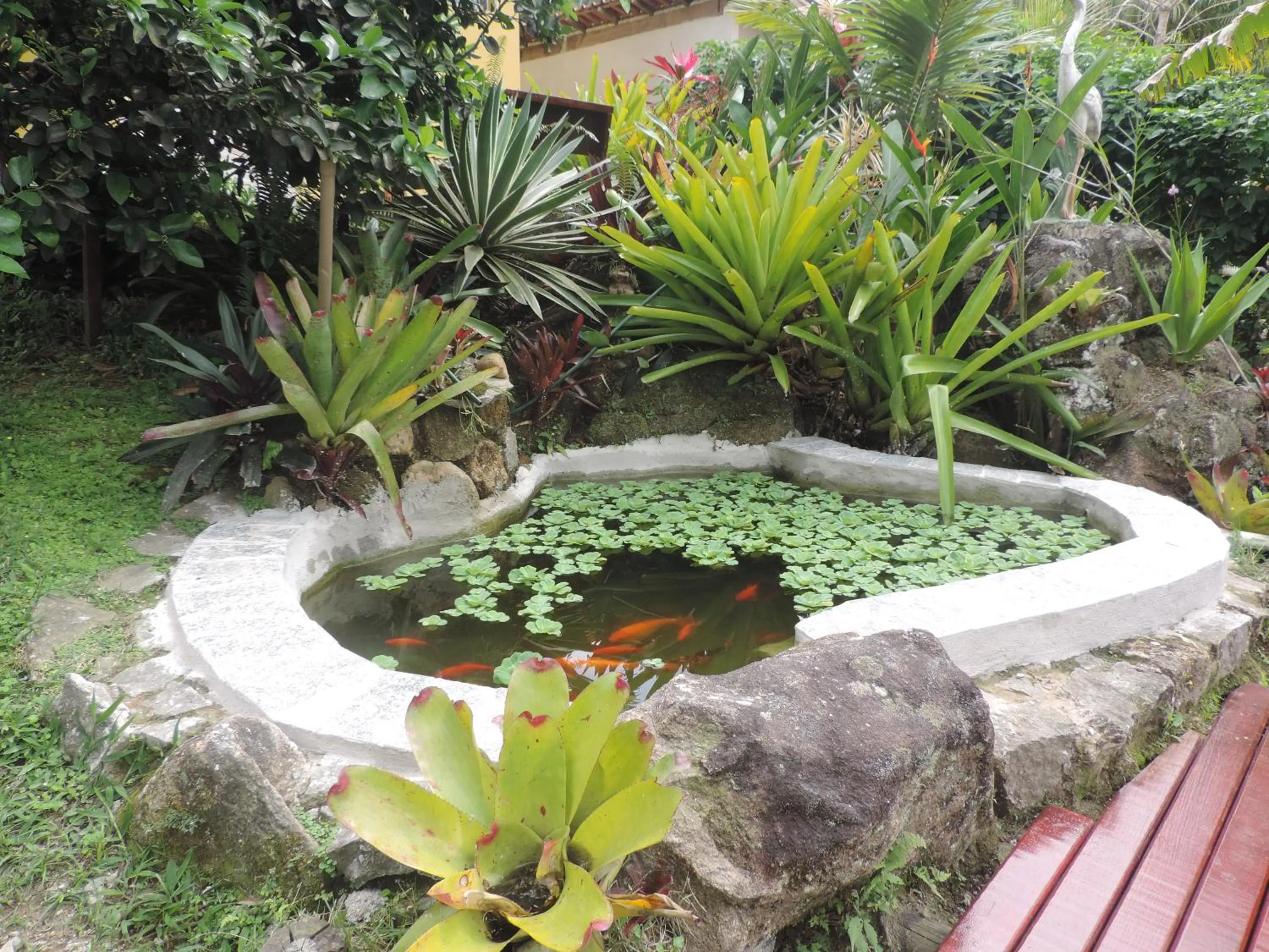 Garden in Pousada Portal das Estrelas