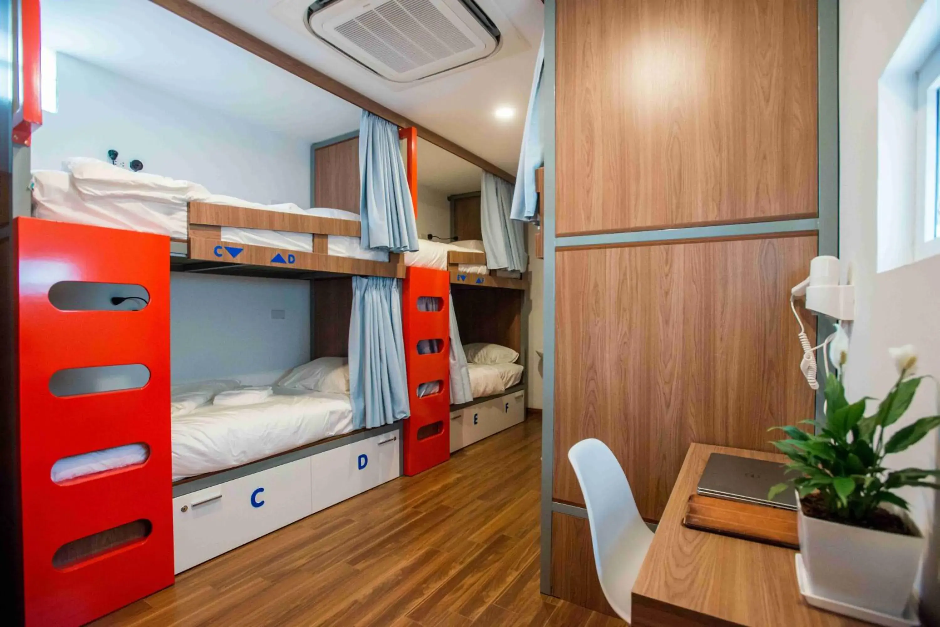 Bed in 8-Bed Female Dormitory Room in Nexy Hostel Bed in 8-Bed Female Dormitory Room in Nexy Hostel